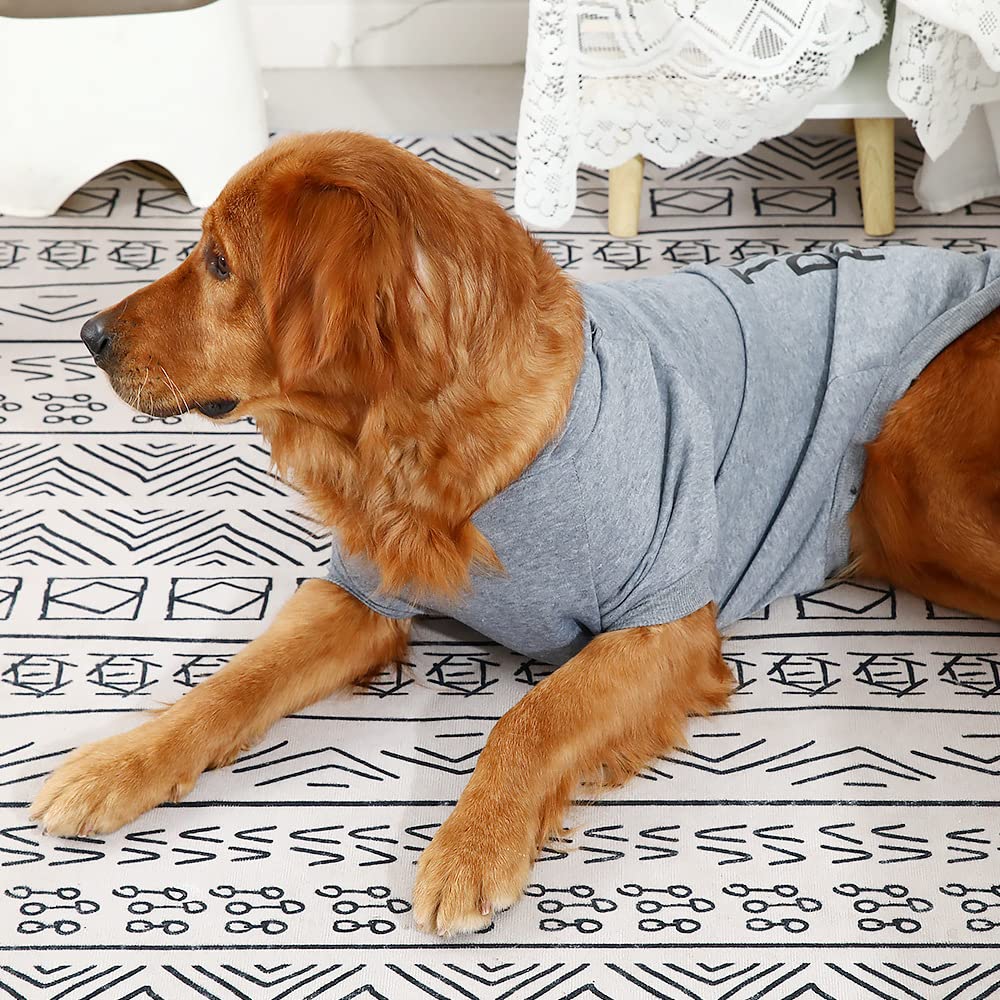 Trendy Light Gray Dog Hoodie - Soft & Comfortable Pet Clothes for Small Medium Large & XXX-Large Dogs - Perfect for Outdoor Walks & Winter Fashion