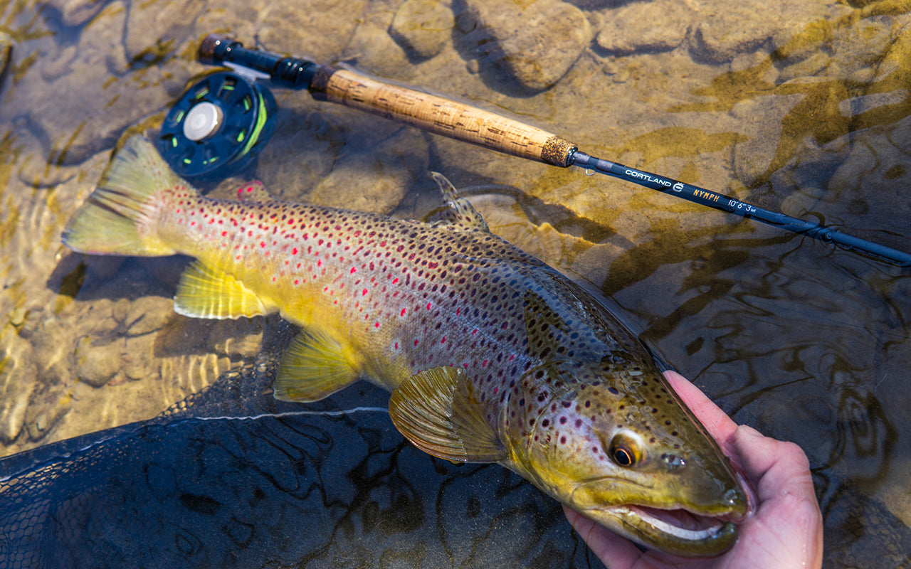 Nymph Series Fly Rods - European Style Nymphing Fly Fishing Rod for Trout & Salmon - Perfect for River & Stream Fishing