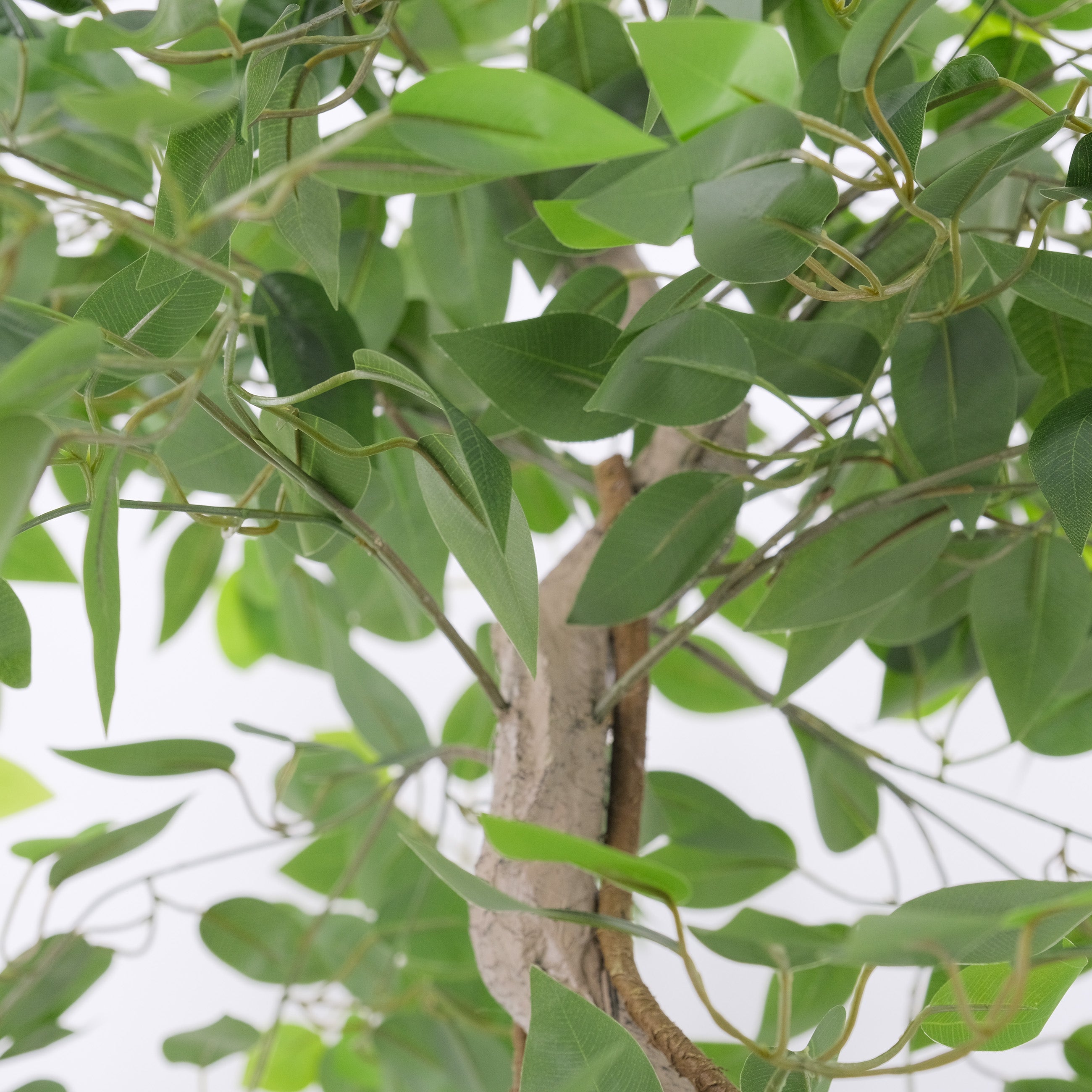 Realistic Artificial Ficus Tree with Twisted Trunk - 5ft Tall Fake Fiddle Leaf Fig Plant for Home Office Decor, Living Room, Bedroom, or Indoor Spaces - Low Maintenance Houseplant Alternative