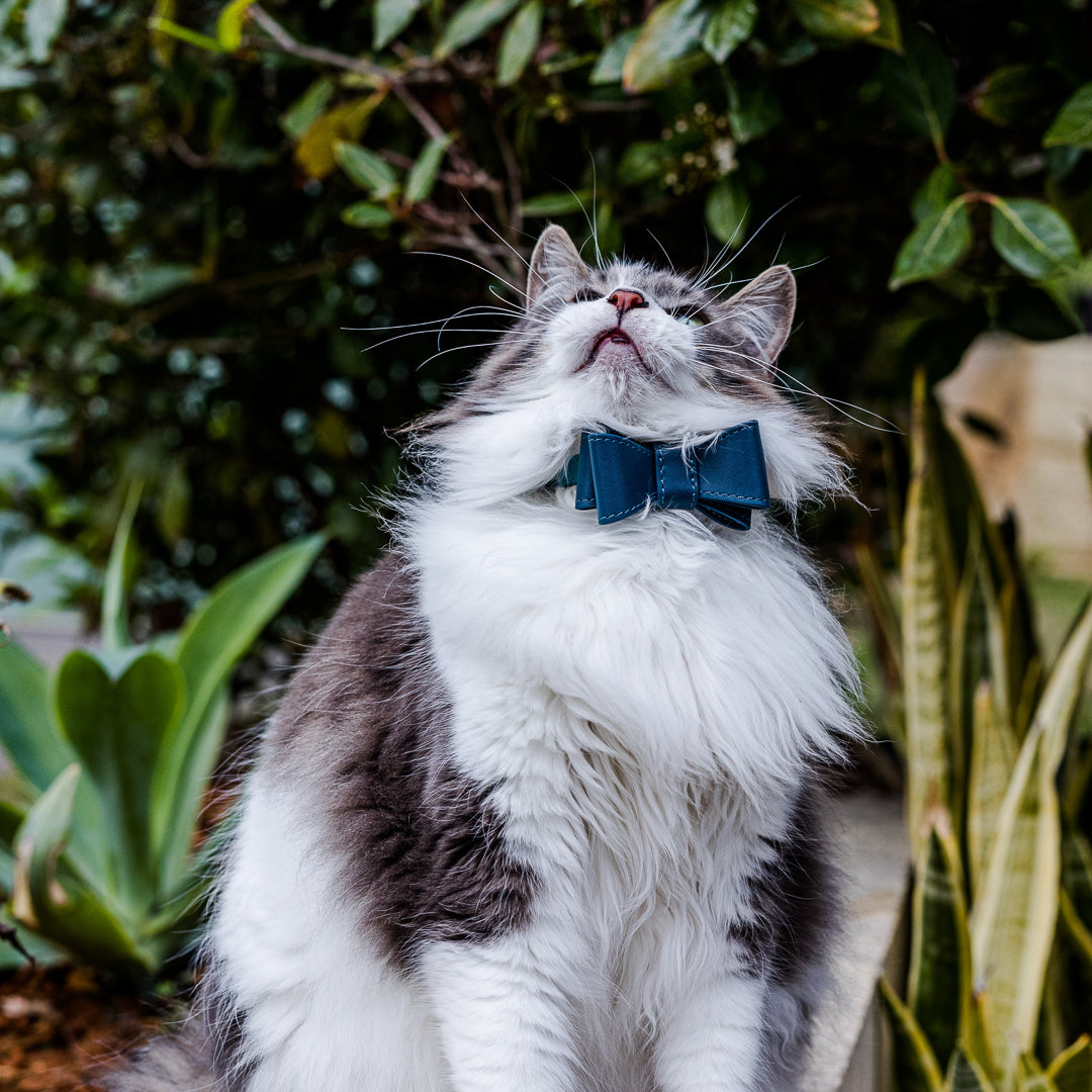 Stylish Navy Blue Leather Cat Bow Tie - Adjustable & Durable Pet Accessory for Kittens & Cats - Perfect for Photos, Parties & Special Occasions