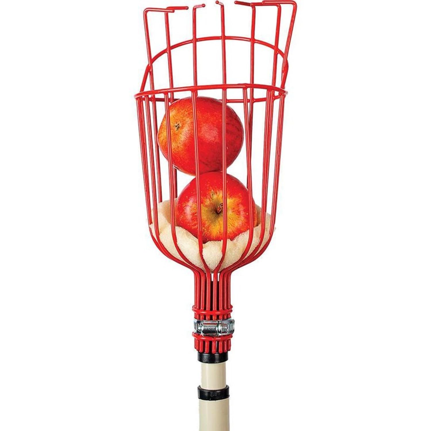 Premium Fruit Picker Tool - Extendable Stainless Steel Fruit Harvesting Pole with Basket for Apples, Pears & Oranges - Ideal for Home Garden, Orchard Harvesting & Farm Use