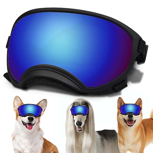 Black Frame&Blue Lens-Small