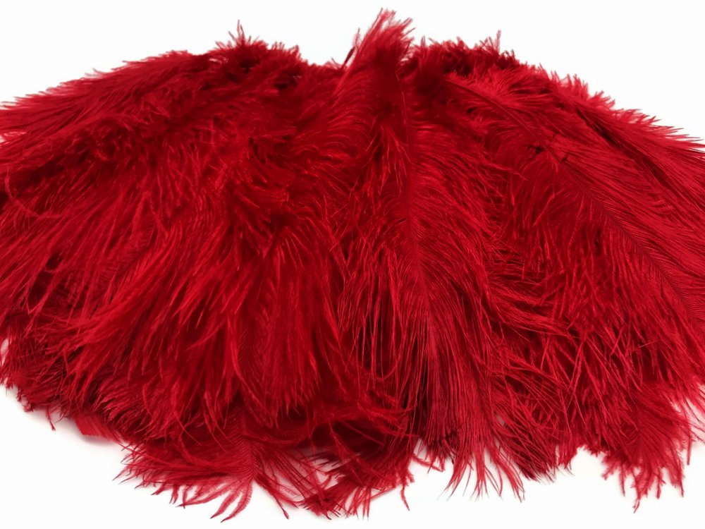 100 Pieces 8-10 Inch Red Ostrich Feathers Bulk - Dyed Drab Body Wholesale Feathers for Wedding Centerpieces, Gatsby Party Decor, DIY Crafts | Perfect for Floral Arrangements, Costume Accessories & Home Decor