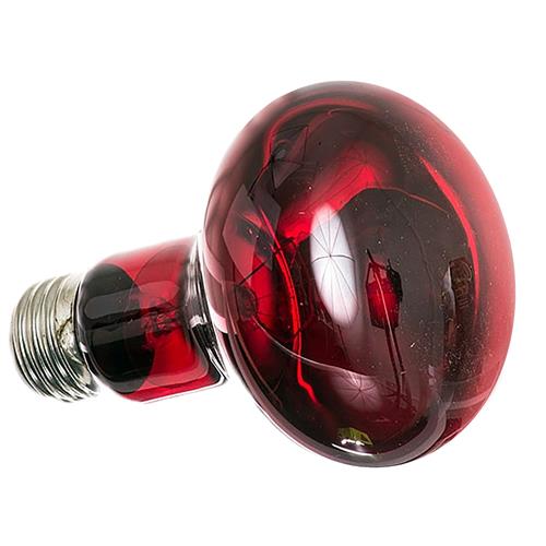 Best Nocturnal Infrared Lighting System with Clamp Lamp & Bulb for Reptiles, Amphibians & Pets - Nighttime Heating & Observation Solution
