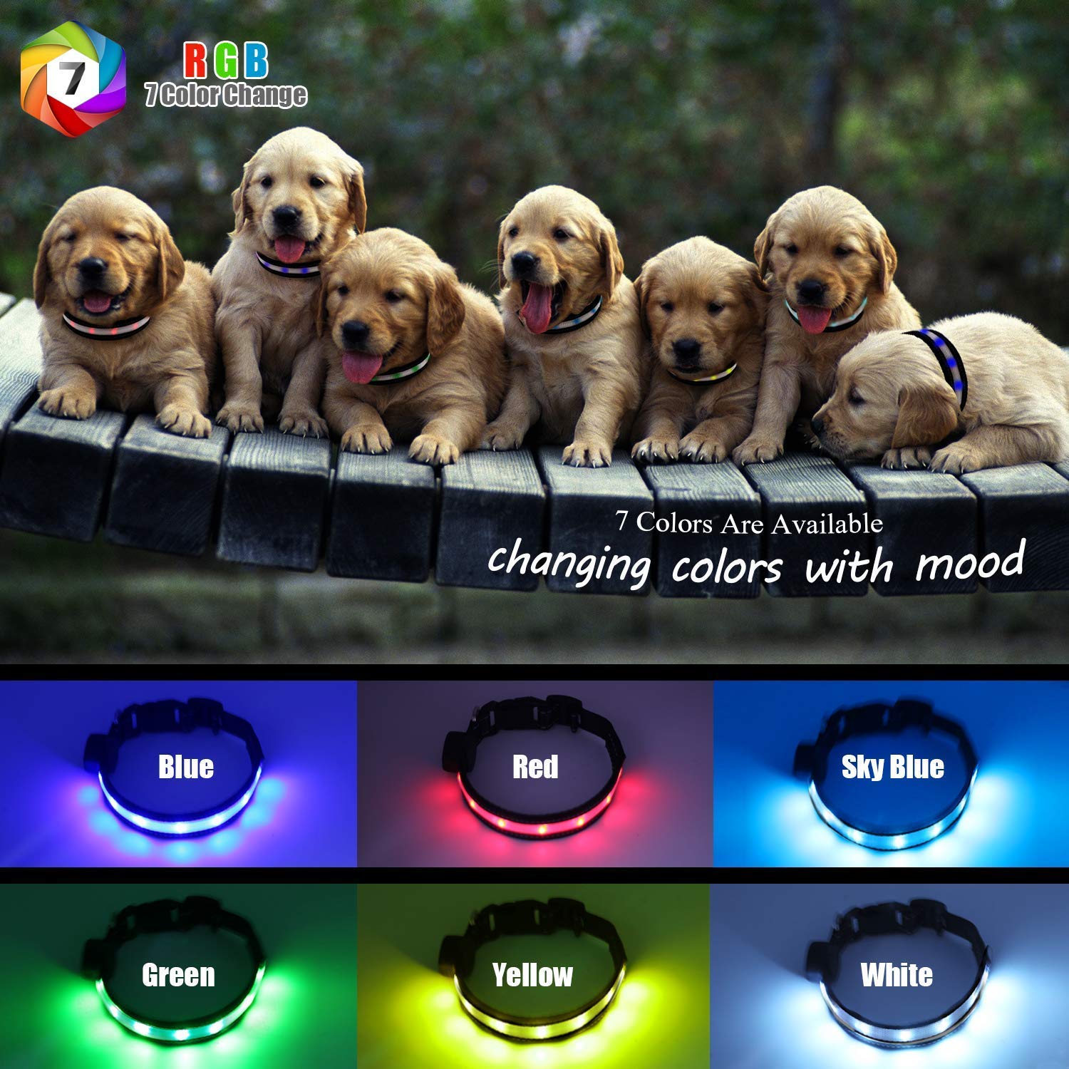 USB Rechargeable LED Dog Collar with 7 Color Changing Modes - Glow in The Dark Adjustable Safety Collar for Small/Medium/Large/XL Dogs - Perfect for Night Walks, Jogging & Outdoor Adventures