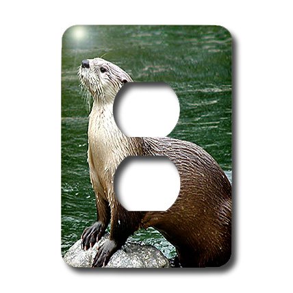 3D Rose Otter 2 Plug Outlet Cover - Decorative Electrical Outlet Cover for Home & Office Safety - Perfect for Kids' Rooms, Nurseries, and Pet-Friendly Spaces
