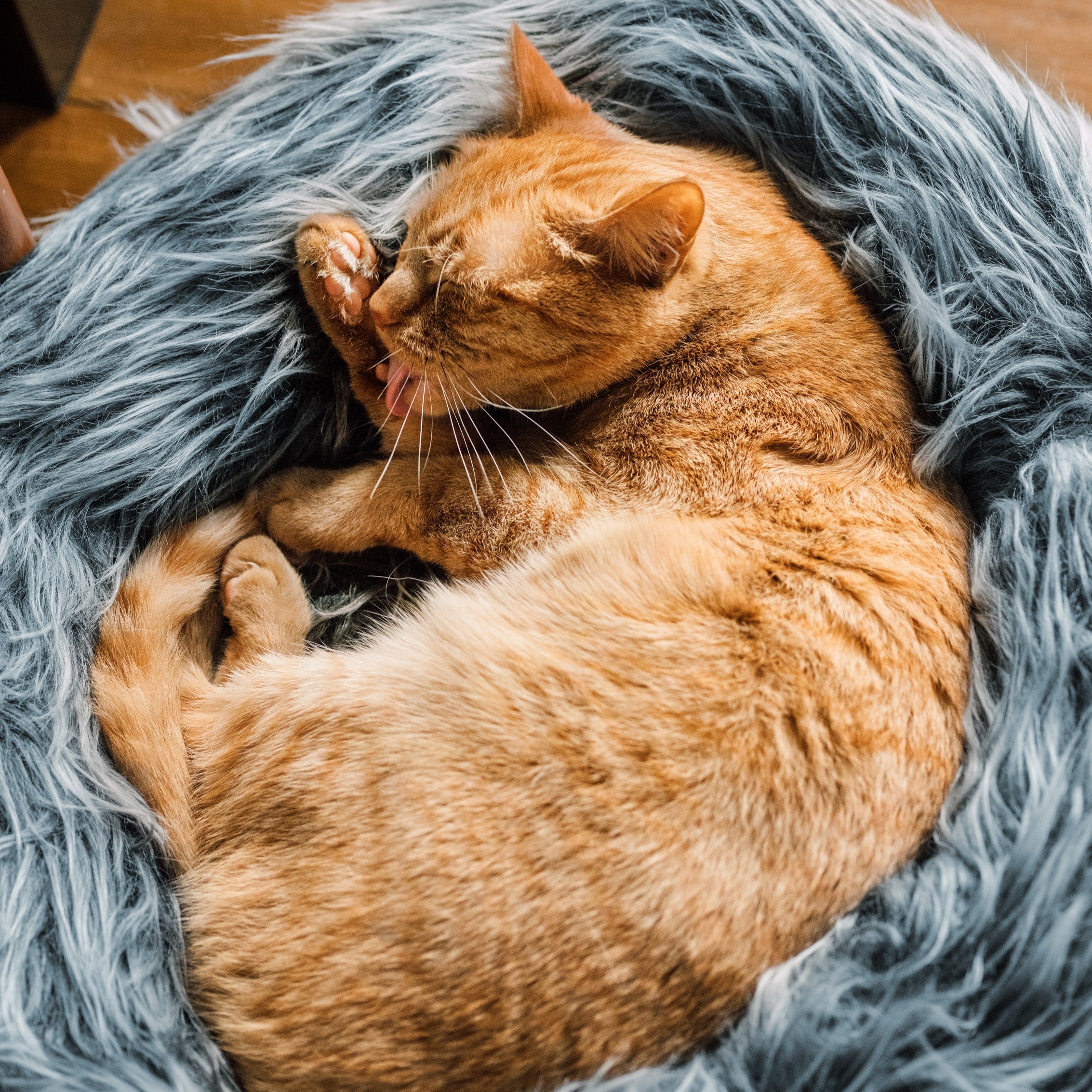 Fluffy Donut Cat Bed & Dog Bed - Soft Round Pet Bed for Small Medium Large Dogs and Cats - Cozy Sleeping Cushion for Home, Office, or Travel Use