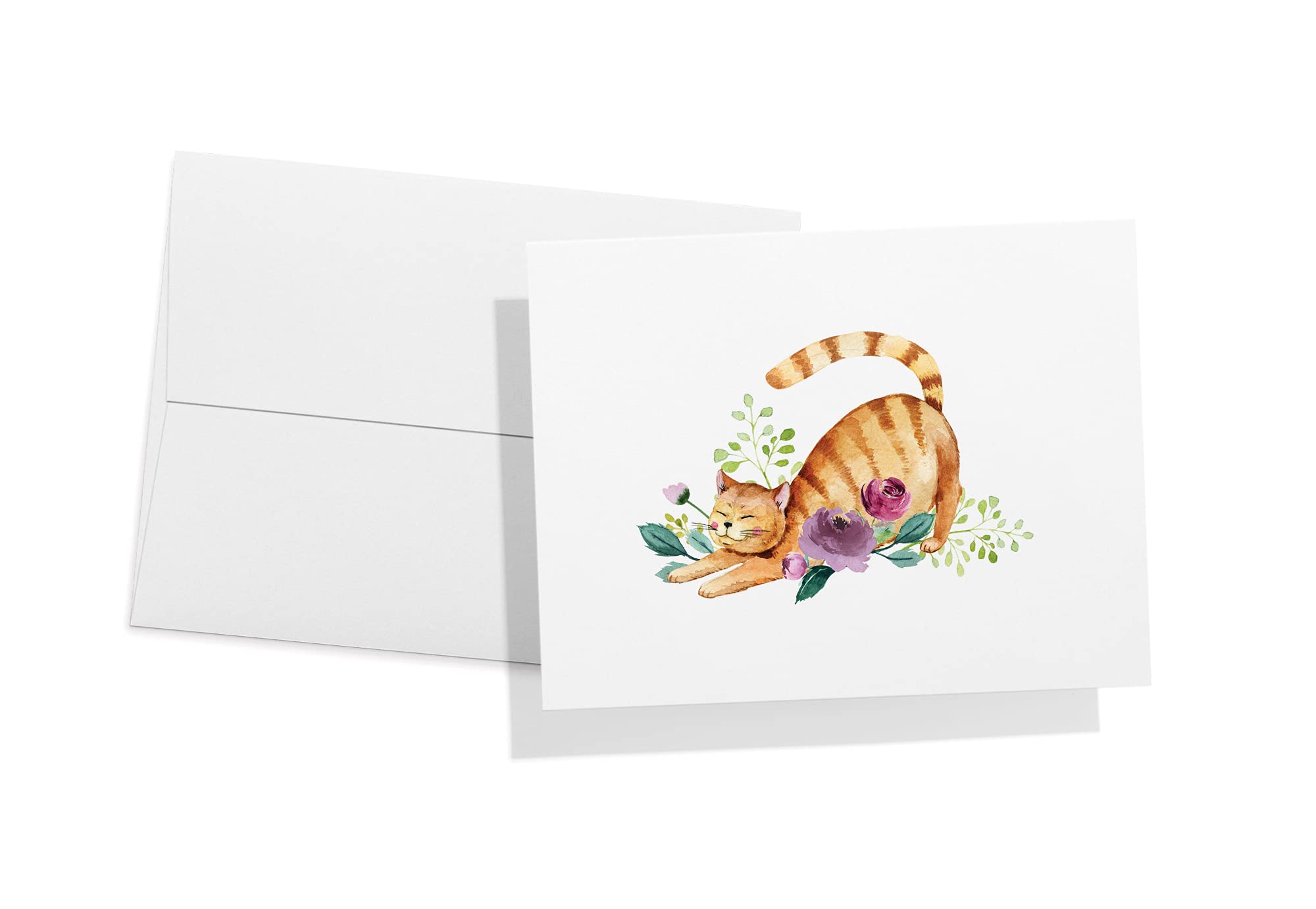 Twigs Paper - 12-Pack Assorted Cat Greeting Cards with Envelopes (5.5x4.25 in) - Blank Note Cards for Thank You, Birthday & All Occasions - USA Made Stationery - Perfect for Cat Lovers, Pet Owners & Handwritten Notes