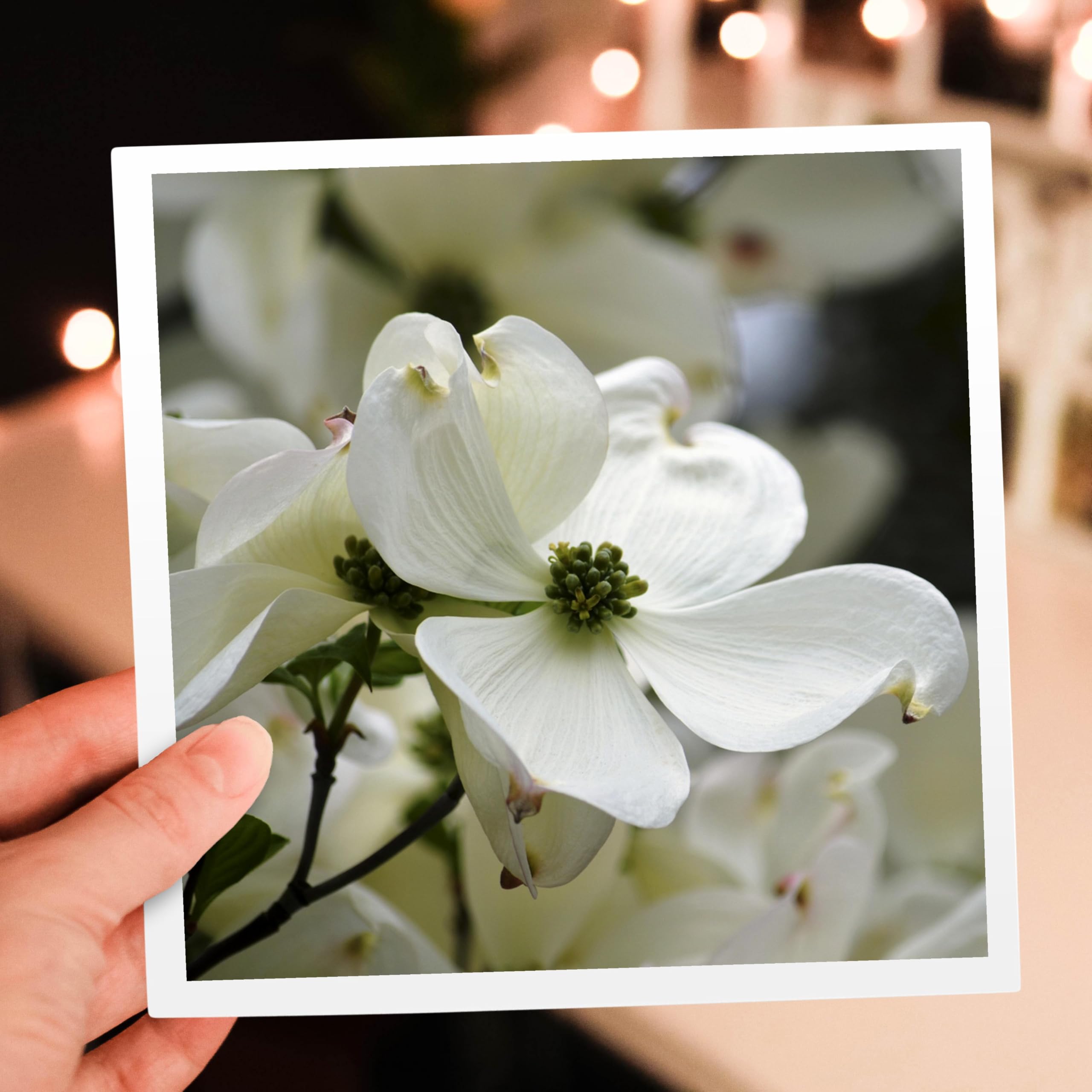 3D Rose Greeting Card with Envelope - Elegant Floral Design for Birthday, Anniversary & Thank You - Perfect for Special Occasions & Romantic Gifts