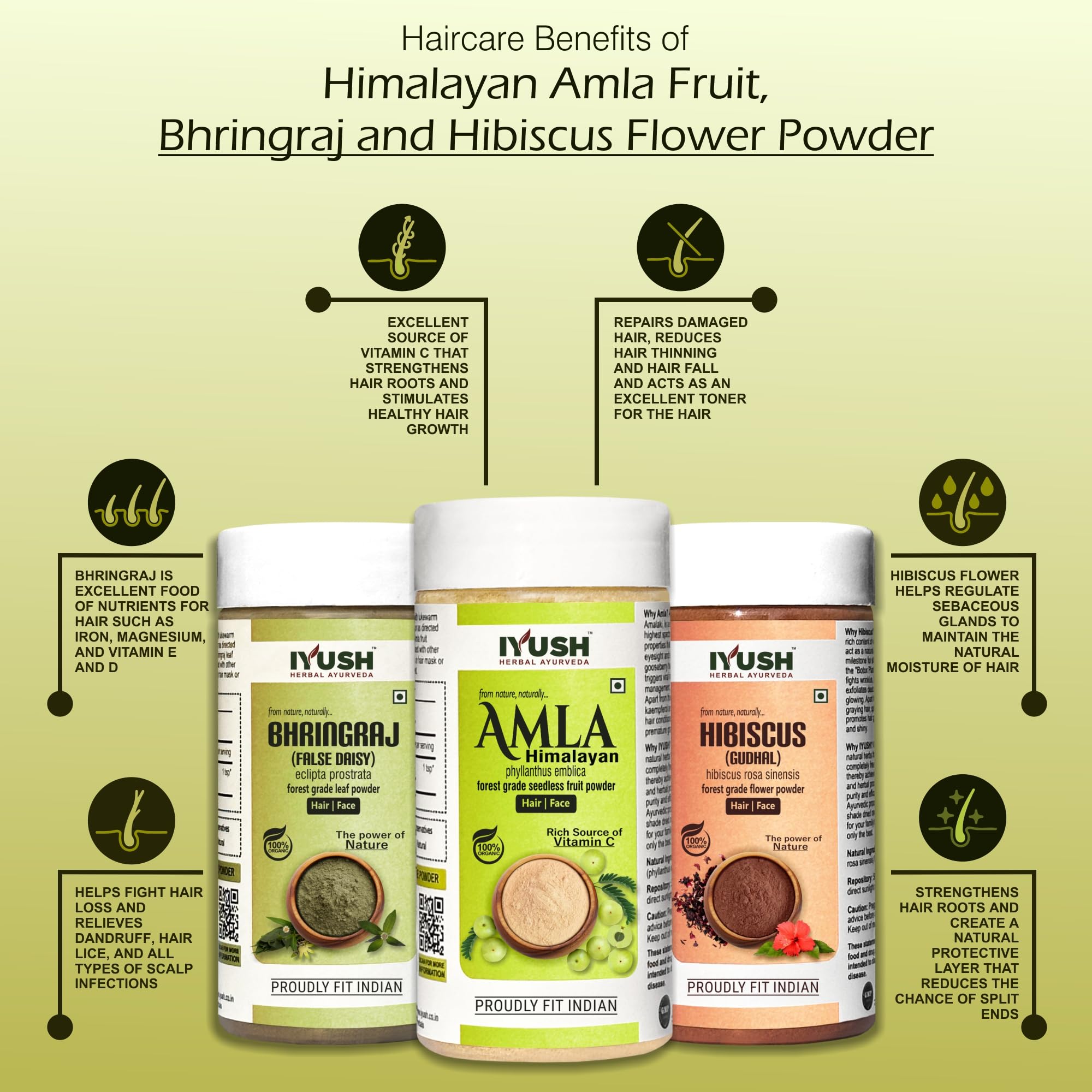 IYUSH Ayurvedic Amla Bhringraj Hibiscus Powder for Hair Growth & Skin Care – 300g | Natural Hair Mask for Dry Frizzy Hair | Hair Volume Booster | Herbal Treatment for Strong Shiny Hair | Perfect for DIY Hair Masks & Scalp Treatments
