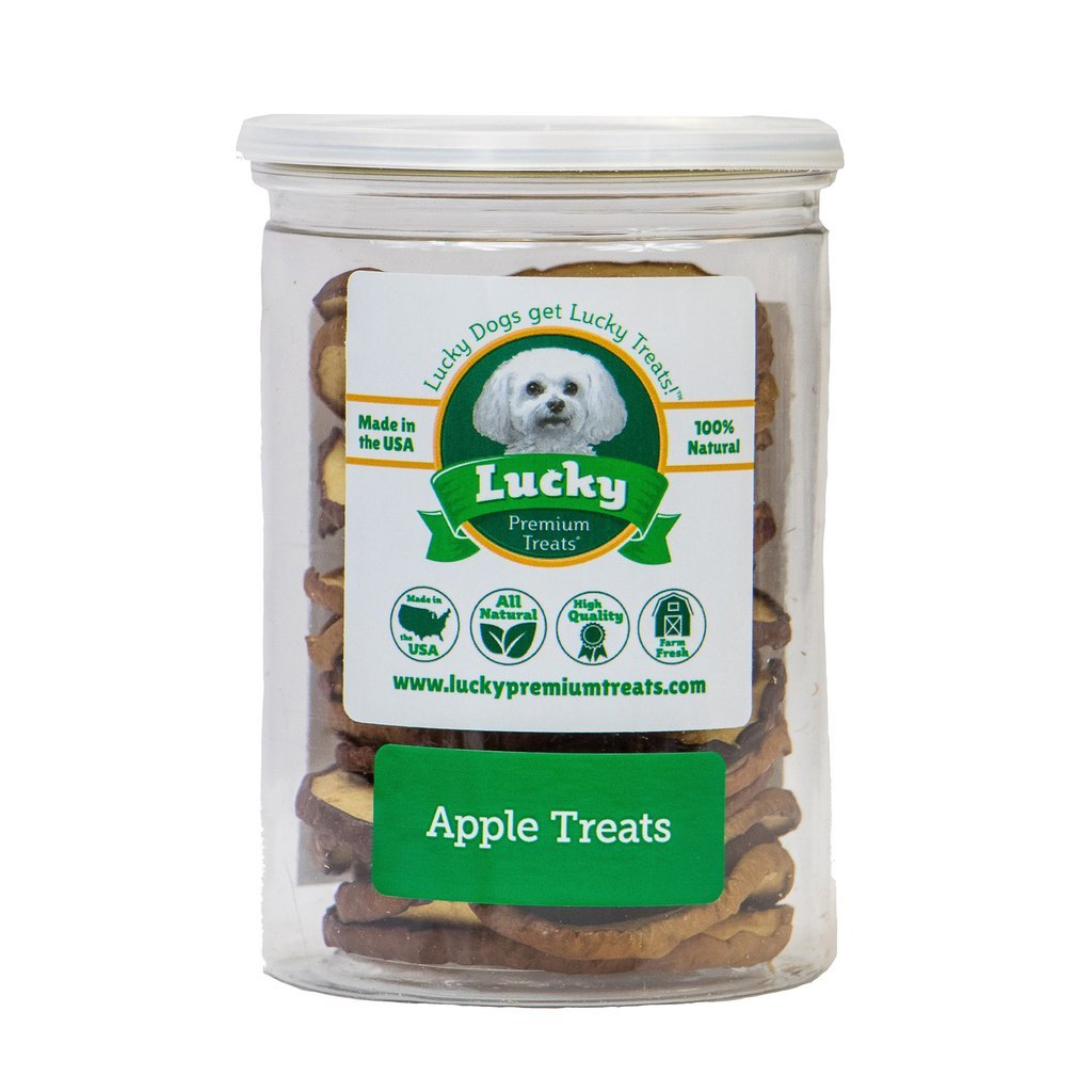 Premium Thin & Crispy All-Natural Apple Rings Dog Treats – Vegetarian, Real Fruit, 5 oz – Healthy Snacks for Training, Rewards & Dental Care