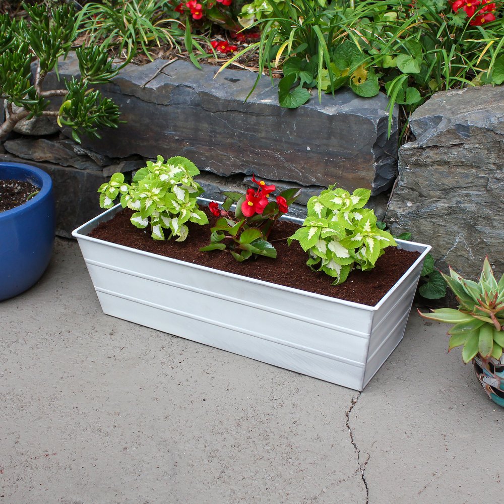 Medium White Bloom Box Garden Growing Kit with Clamp On Brackets – Stylish Indoor/Outdoor Planter for Herbs, Flowers & Vegetables – Perfect for Balcony, Patio & Urban Gardening