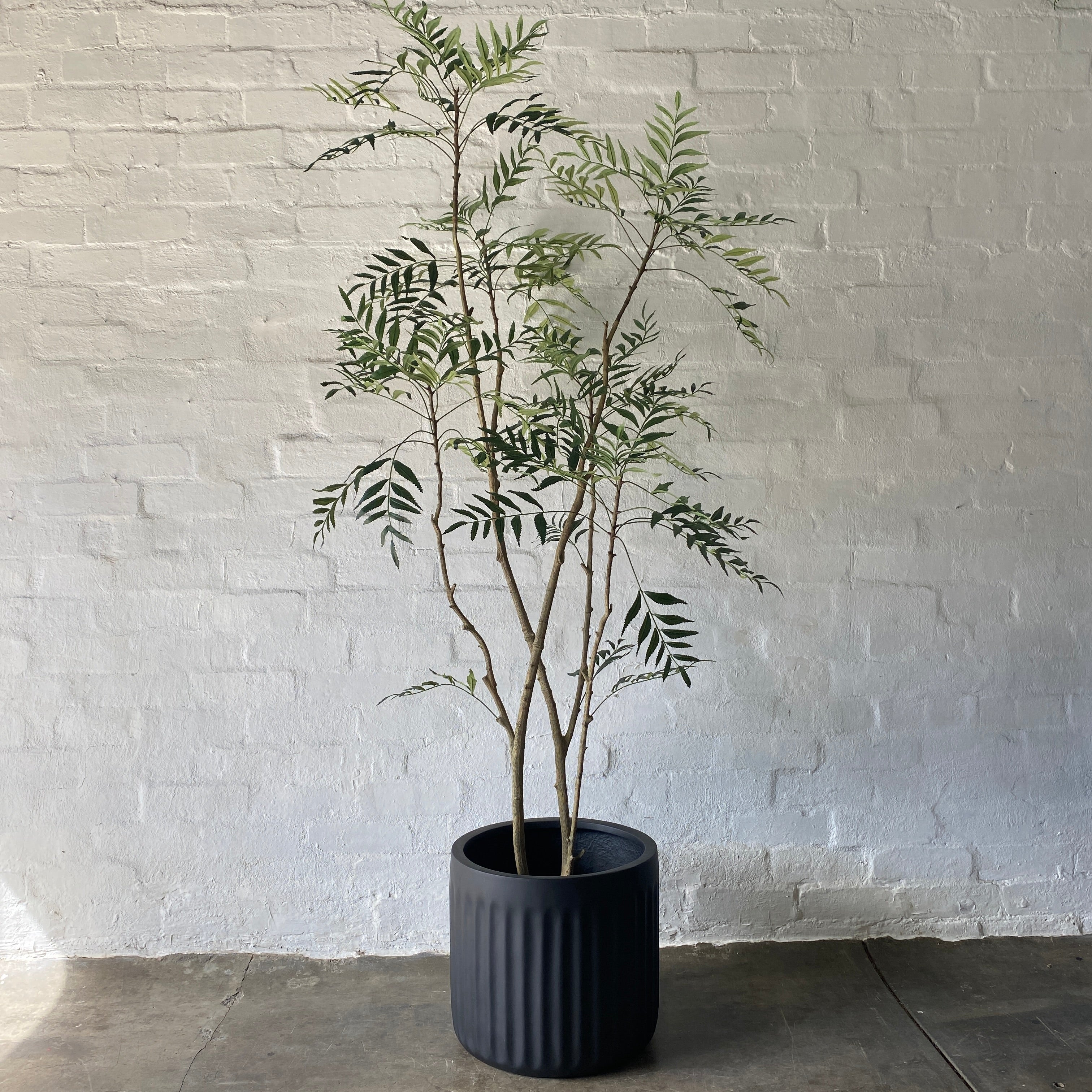 Premium Artificial Madagascar Palm Tree - 6ft Tall Lifelike Fake Plant for Home & Office Decor - Perfect for Living Room, Bedroom, or Indoor Greenery Enhancement