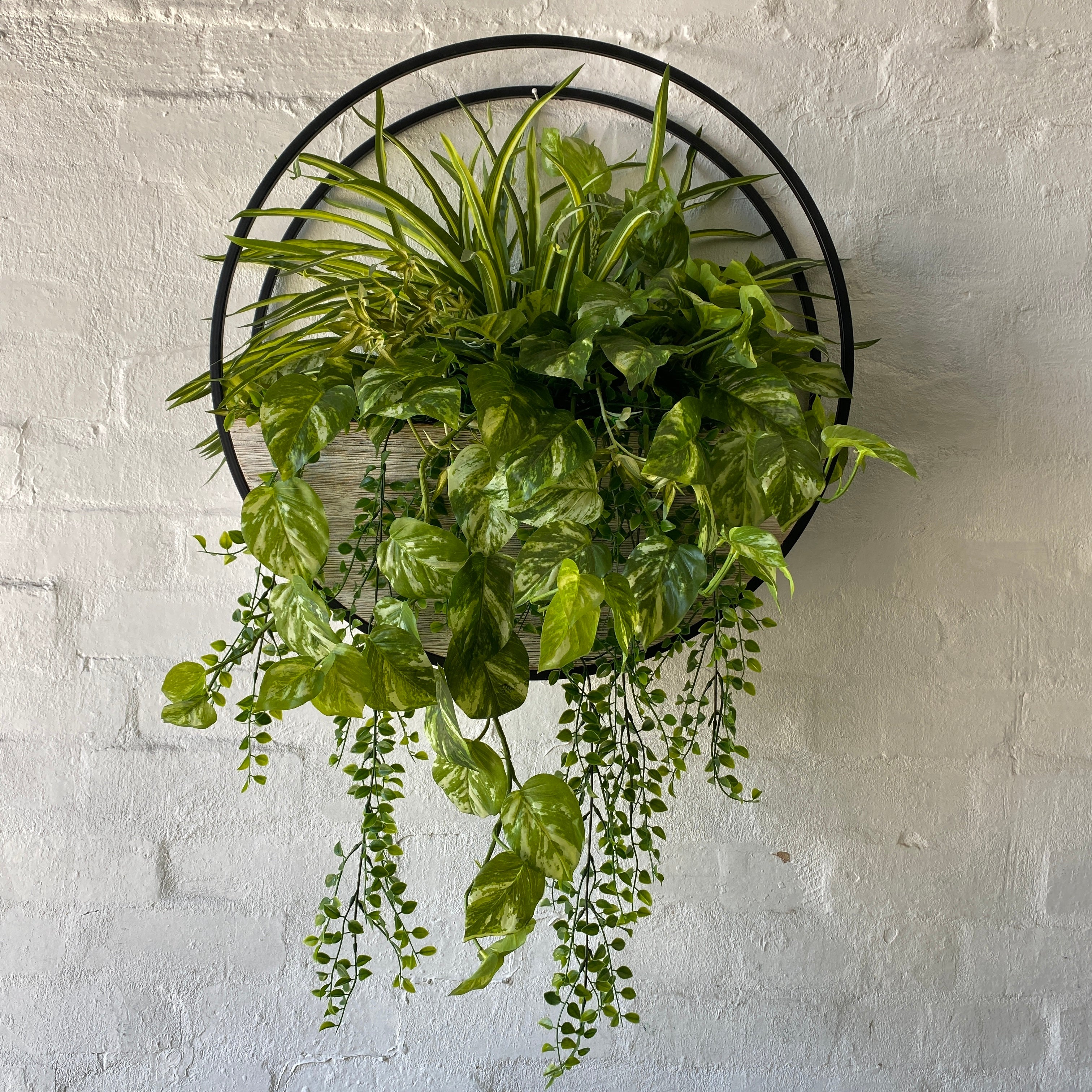 Half Moon Wall Planters - Handcrafted Brown Wooden Hanging Planters for Indoor & Outdoor Decor | Perfect for Living Room, Bedroom, Garden & Patio Decorations
