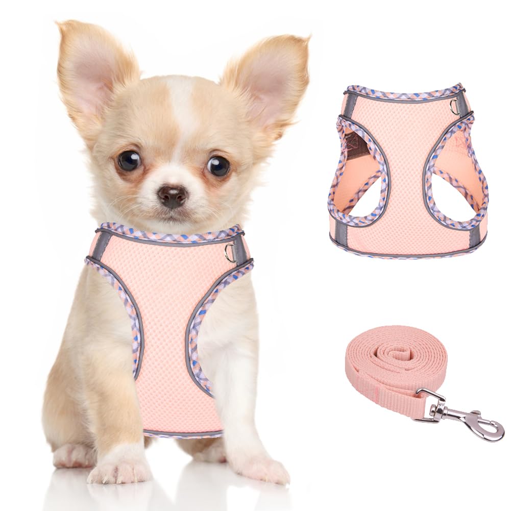 No Pull Adjustable Dog Harness for Small & Medium Dogs - Reflective Breathable Mesh Puppy Harness with Soft Padded Vest & Leash Set (Pink, XS) - Perfect for Walking, Training & Outdoor Adventures