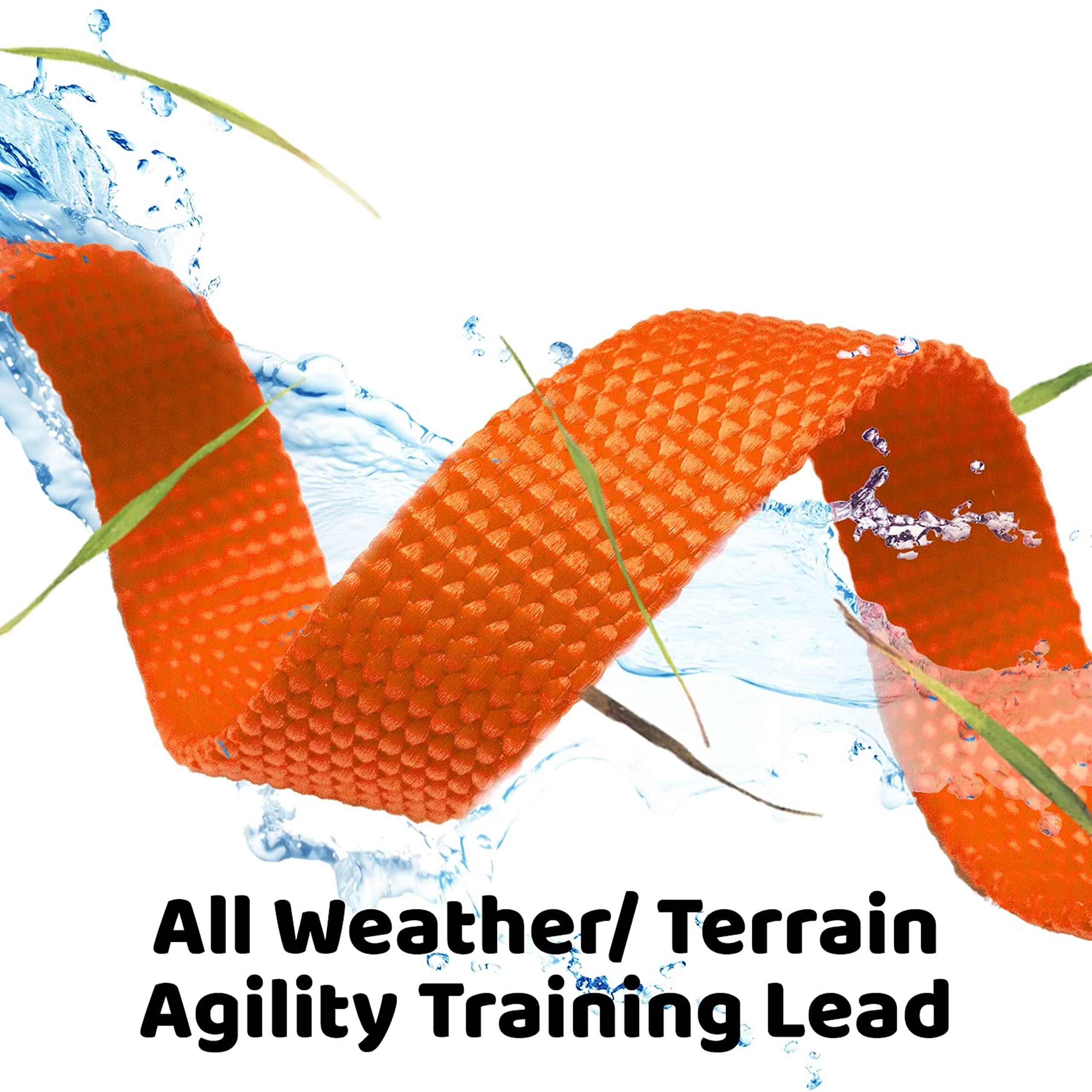 Downtown Pet Supply 50ft Orange Nylon Dog Leash - Long Training Leash for Recall & Obedience - Durable Outdoor Walking, Hiking, and Park Training Accessory