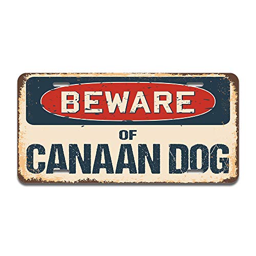 Beware of Canaan Dog