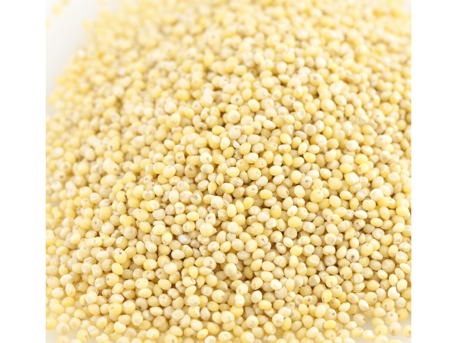 Organic Hulled Millet Bulk 50 lb - Non-GMO, Gluten-Free Whole Grain for Baking, Cooking & Healthy Recipes