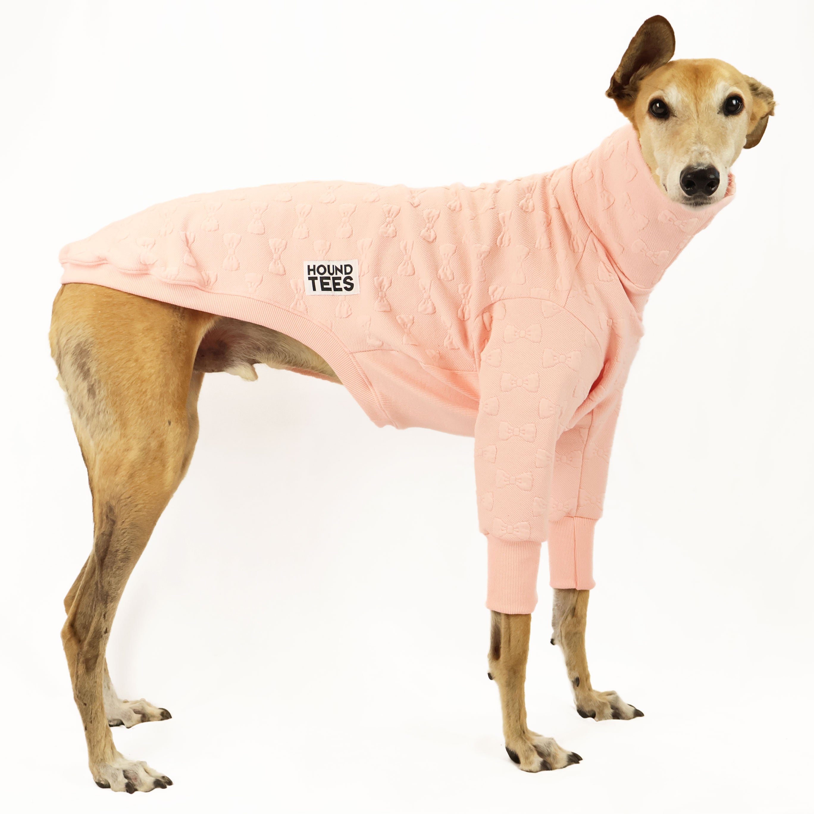 Peach Pawfect Greyhound Quilted Sweater for Dogs - Cozy Winter Dog Clothes, Warm Pet Apparel for Small to Medium Breeds - Perfect for Outdoor Walks and Indoor Lounging