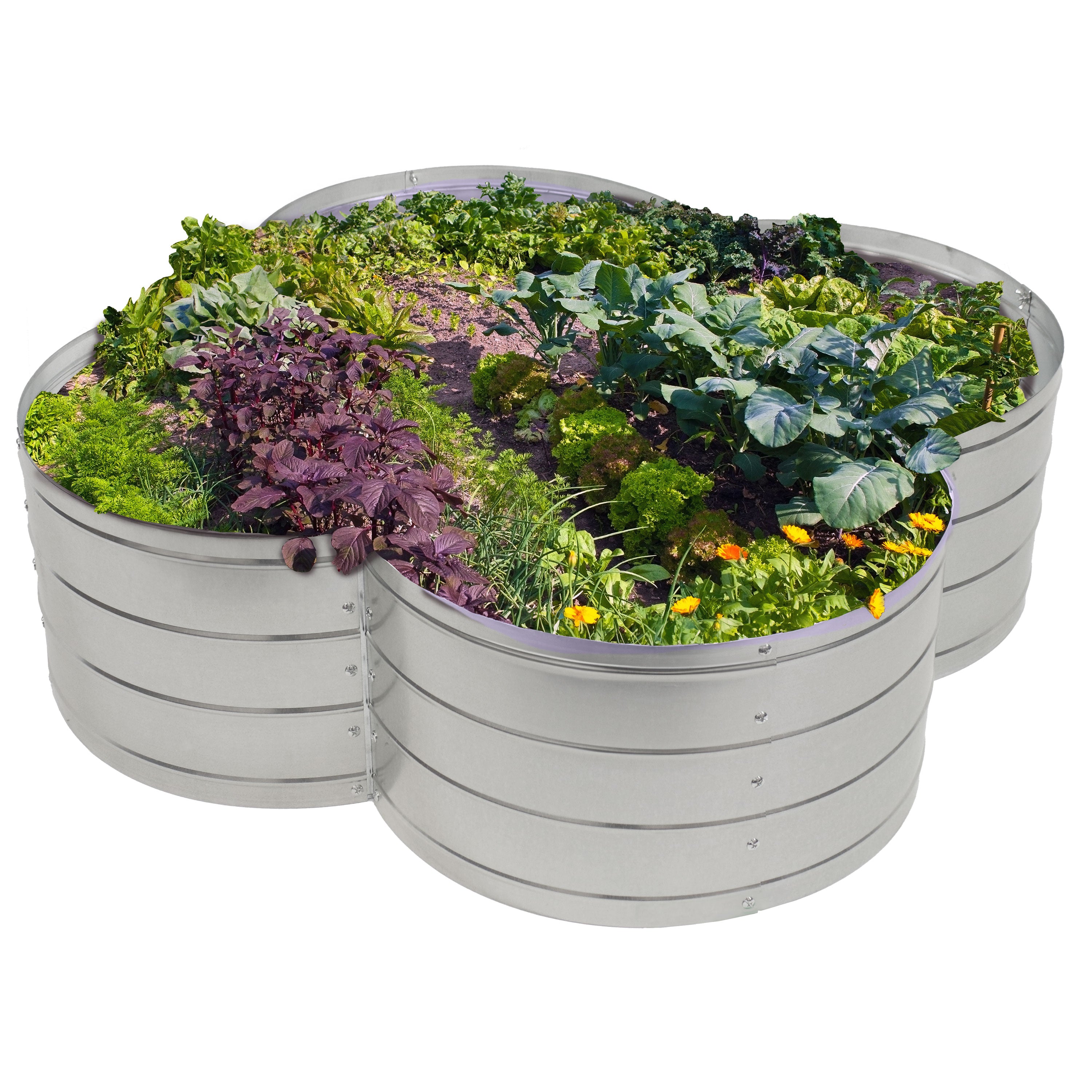 4 Leaf Clover Shaped Galvanized Steel Raised Garden Bed Kit - 48