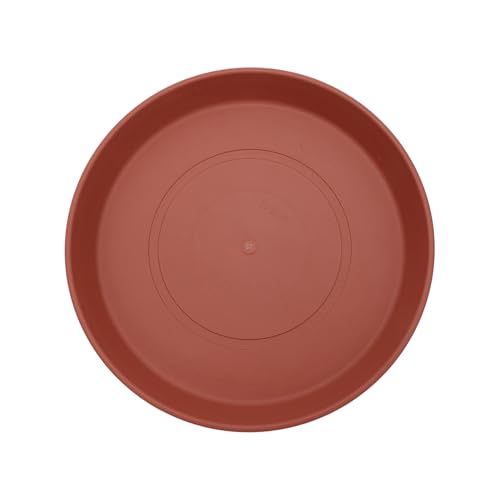 Clay