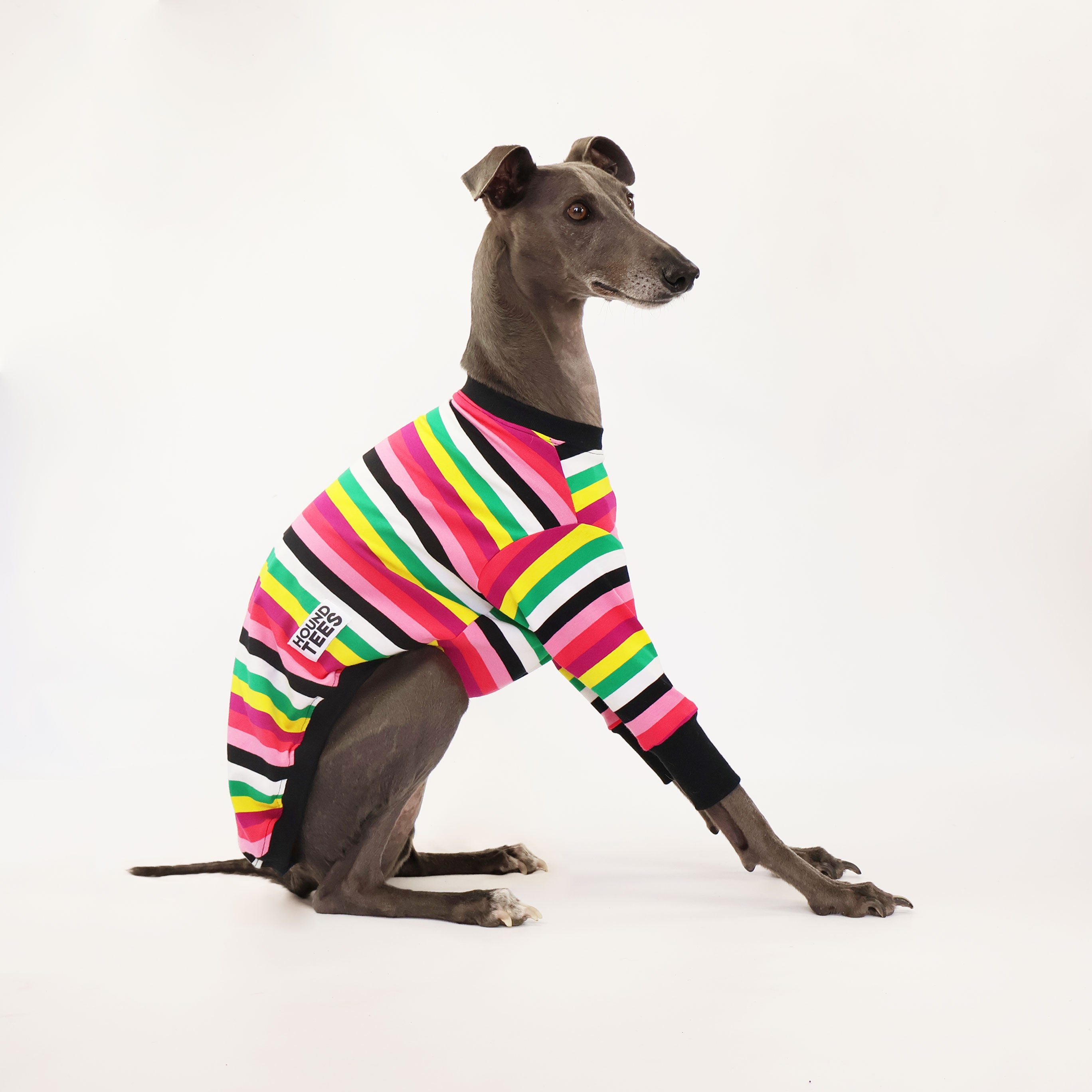 Liquorice Allsorts Whippet Long Sleeve Hound T-Shirt | Cute Dog Lover Apparel for Casual Wear & Gifts
