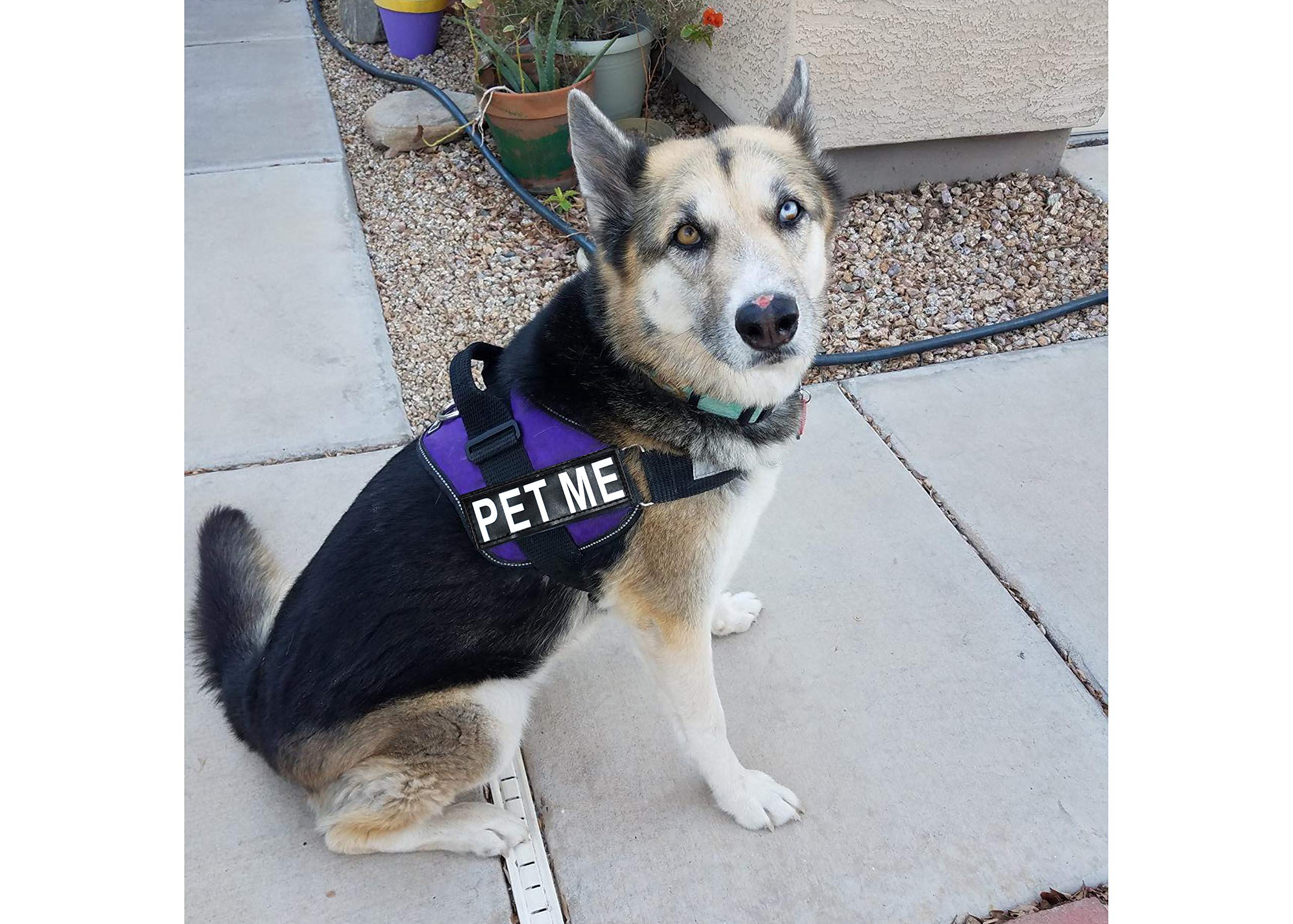 Doggie Stylz Adjustable Dog Harness with Removable Reflective Patches - Purple Pet Vest for Small to Medium Dogs (19