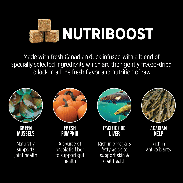 Nutrience SubZero Northern Lakes High Protein Dry Dog Food - Grain-Free, Rich in Omega-3 for Healthy Skin & Coat - Ideal for Active & Large Breed Dogs - Perfect for Outdoor Adventures & Cold Weather Activities