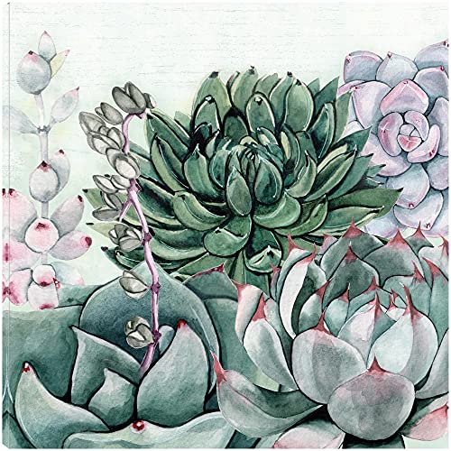 Succulent Garden II