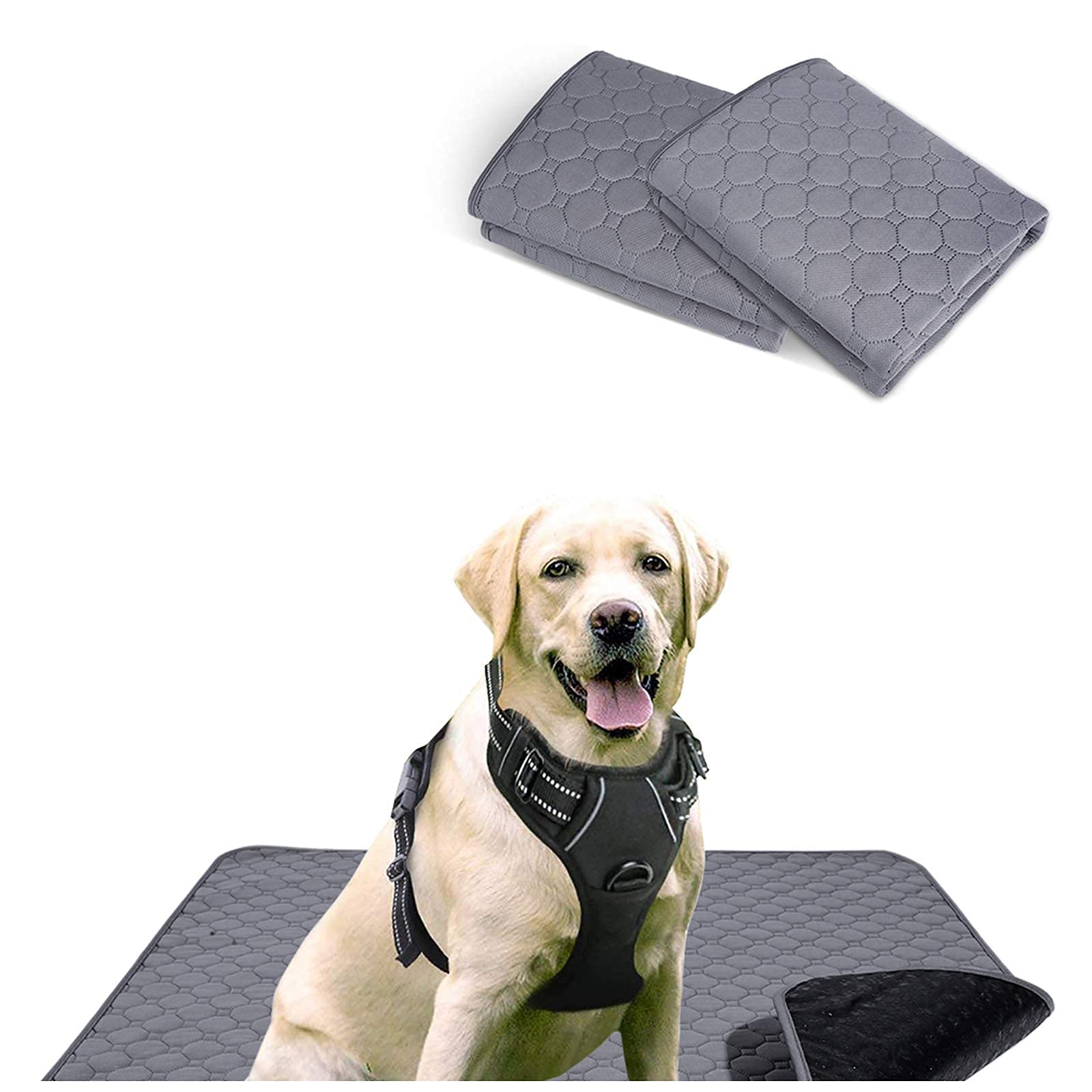 Rabbitgoo Adjustable No-Pull Dog Harness with Leash Clips (XL) & Washable Waterproof Puppy Pee Pads - Super Absorbent Non-Slip Training Pads for Dogs and Cats | Indoor Outdoor Potty Training & Pet Safety Control