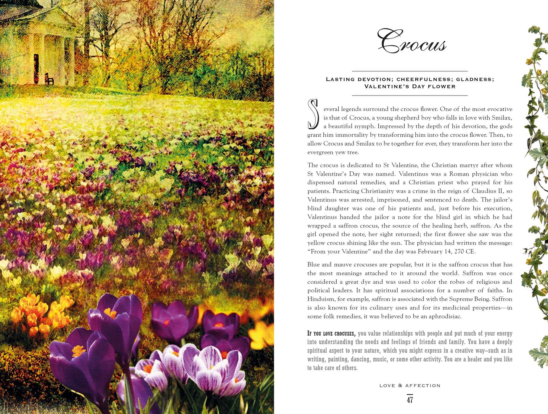 The Secret Language of Flowers: Meaning & Symbolism Guide | Perfect for Weddings, Gifts & Home Decor