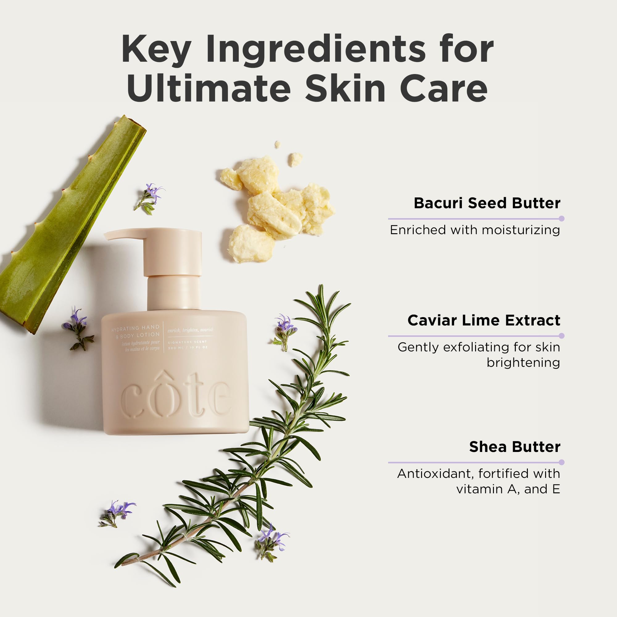 Côte Hydrating Hand & Body Lotion with Shea Butter - Deep Moisturizing for Dry Skin | Perfect for Daily Use, Travel & Gift Giving