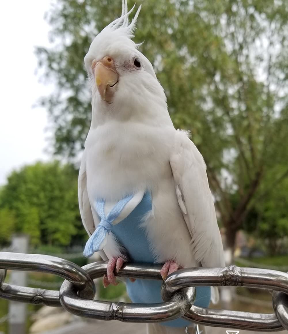 **Blue Large Bird Flight Suits Diapers - Parrot Sailor Suits for Monk Parakeets & Cockatiels | Training Nappy Suit Liners & Clothes | Perfect for Outdoor Adventures & Indoor Play**