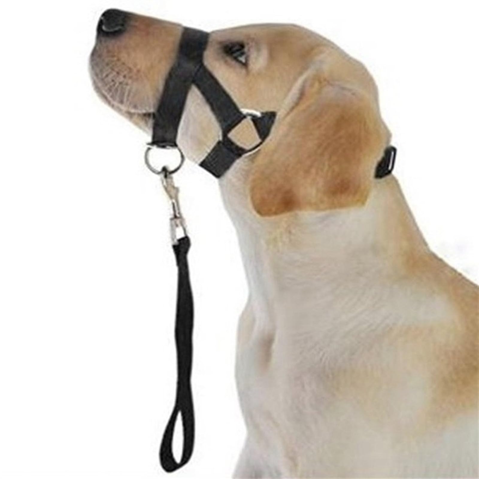 Dog No-Pull Training Harness - Anti-Bark Bite-Proof Nylon Head Halter Collar for Large Dogs (XL, Black) - Perfect for Walking, Training & Behavior Correction