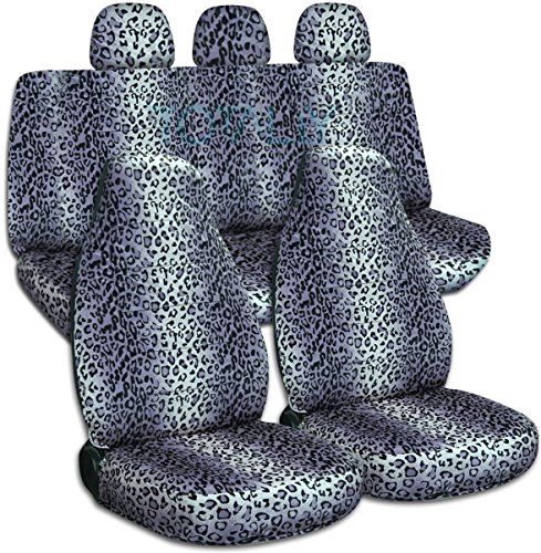 Gray Leopard