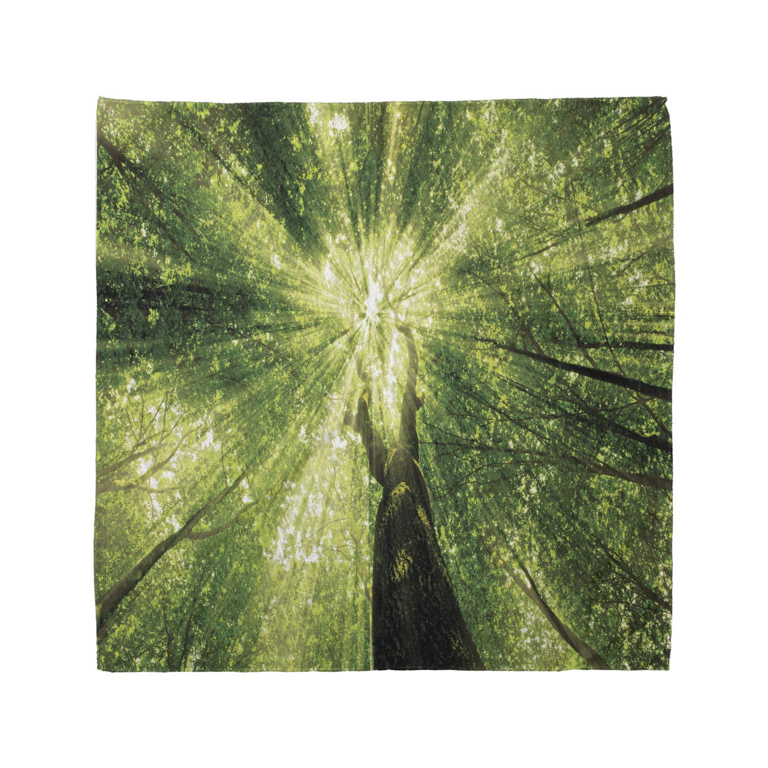 Ambesonne Forest Green Bandana Scarf - Stylish Dark Green Floral Print for Women | Perfect for Spring Brunches, Outdoor Adventures & Sun Protection