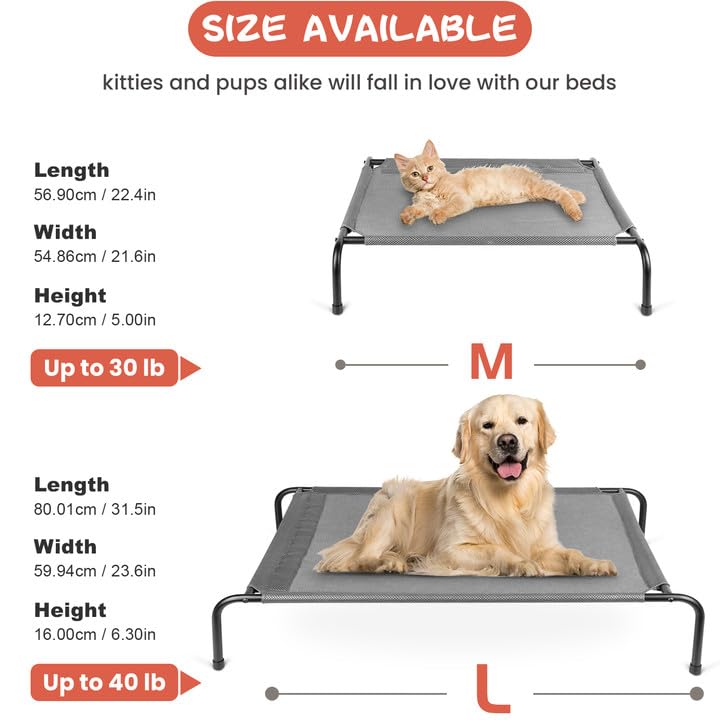 Soft CZPET Cat Bed - Medium Size Double-Sided Pet Cushion | All-Season Comfort | Removable & Washable Cover | Foldable High Resilience Design - Perfect for Indoor Lounging & Cozy Napping Spots