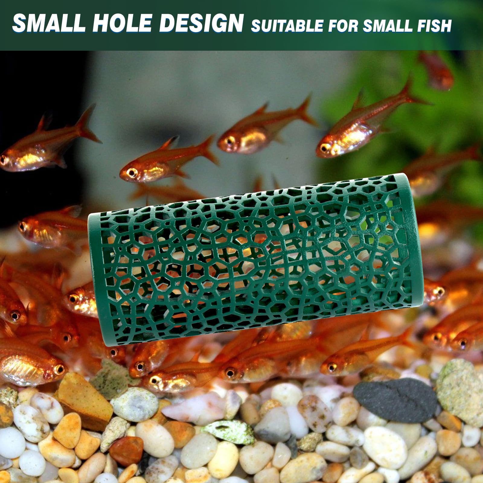 Abizoo Dark Green Hollow Betta Fish Tunnel & Reptile Hide - Safe Aquarium Decor for Fish Tanks, Terrariums - Perfect for Betta Fish Enrichment and Reptile Hiding