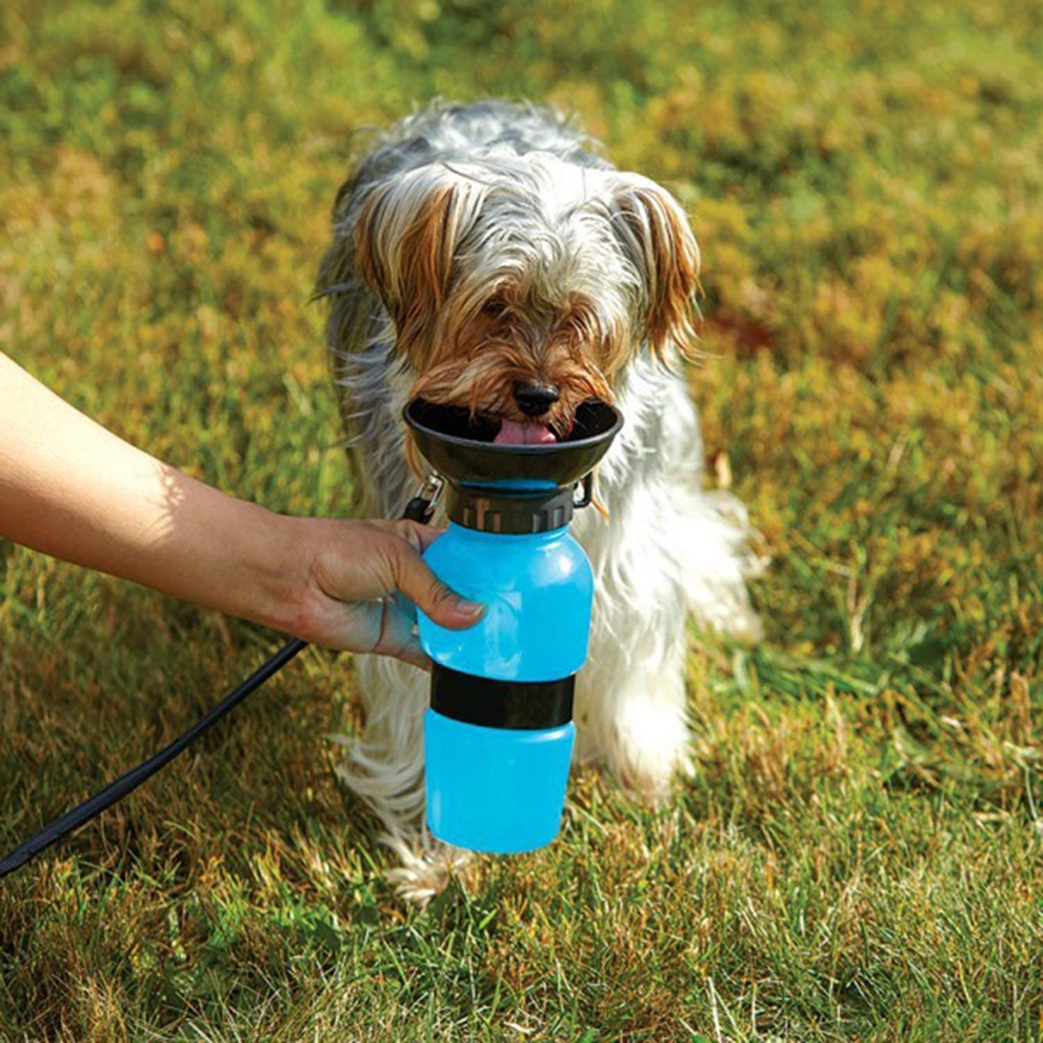 Portable Dog Water Bottle with Bowl - Travel Pet Water Dispenser for Dogs - Auto Drinking Mug for Pets - Plastic, Multi Color (Pack of 1) - Perfect for Hiking, Camping & Outdoor Adventures