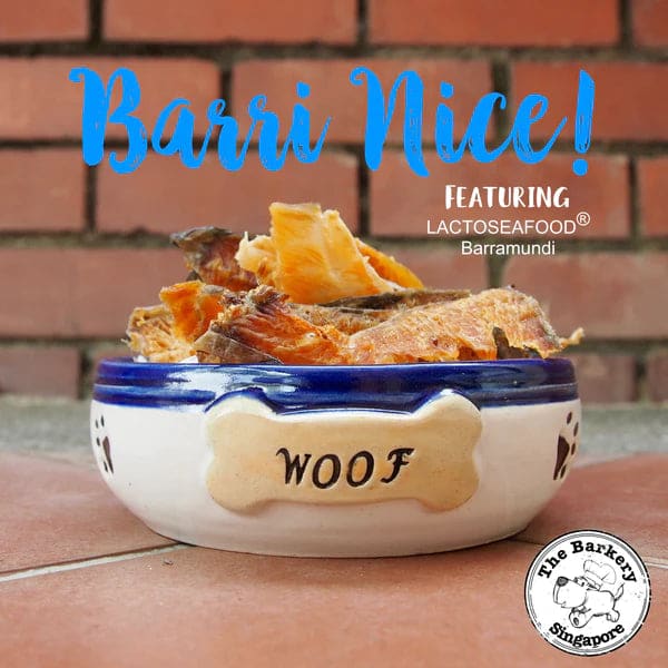 Premium Dehydrated Barramundi Fillet Dog Treats - All-Natural, Grain-Free & High Protein - Small & Large Size Options - Perfect for Training, Rewards & Dental Health