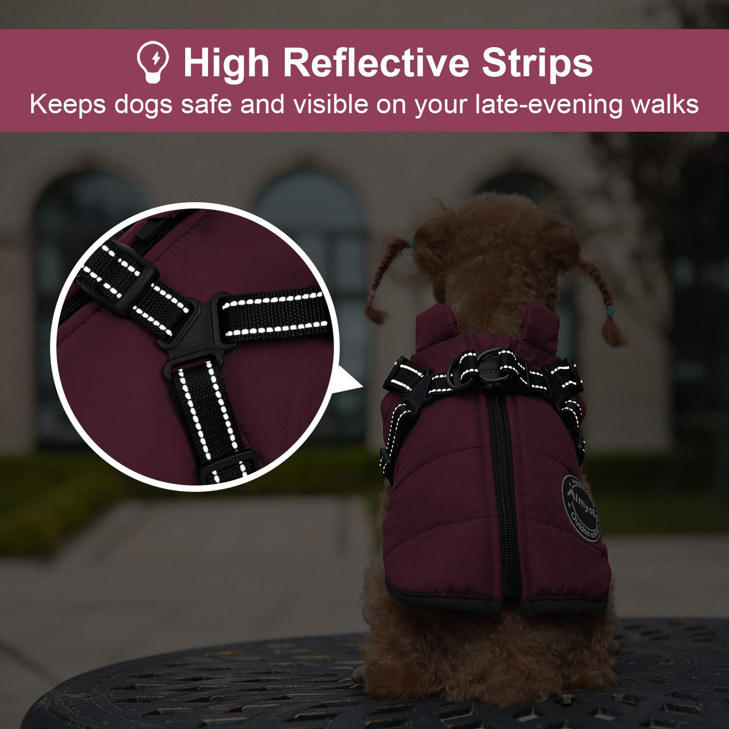 Warm Winter Dog Coat for Small Dogs - Fashionable & Waterproof Windproof Pet Jacket with Built-in Harness, Reflective Adjustable Vest - Perfect for Cold Weather Walks, Outdoor Adventures & Nighttime Safety (Purple)