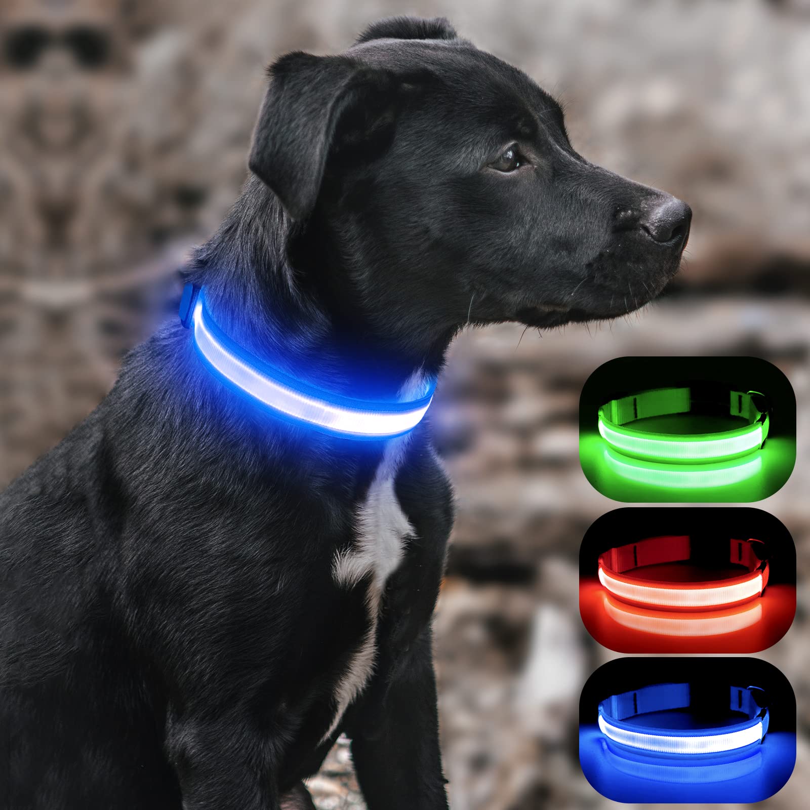 BSEEN Rechargeable LED Dog Collar - Waterproof Reflective Glow in The Dark Collar for Small Dogs, Night Safety Walking Gear with Bright Royal Blue Light - Perfect for Evening Walks, Jogging & Outdoor Adventures