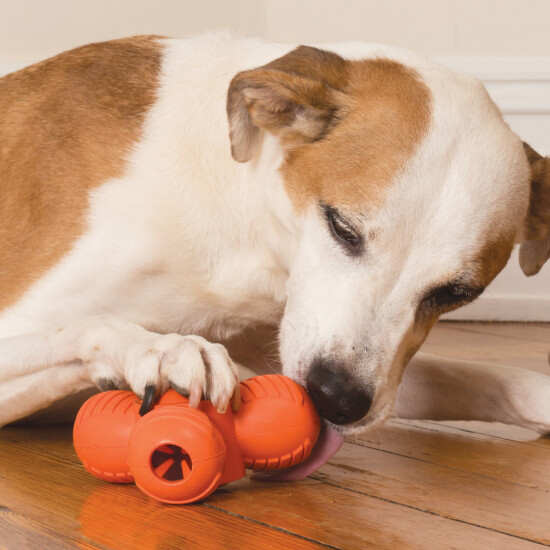 Busy Buddy® Interactive Dog Toy with Sound & Treat Dispenser – Petsafe® – Perfect for Mental Stimulation & Training Rewards