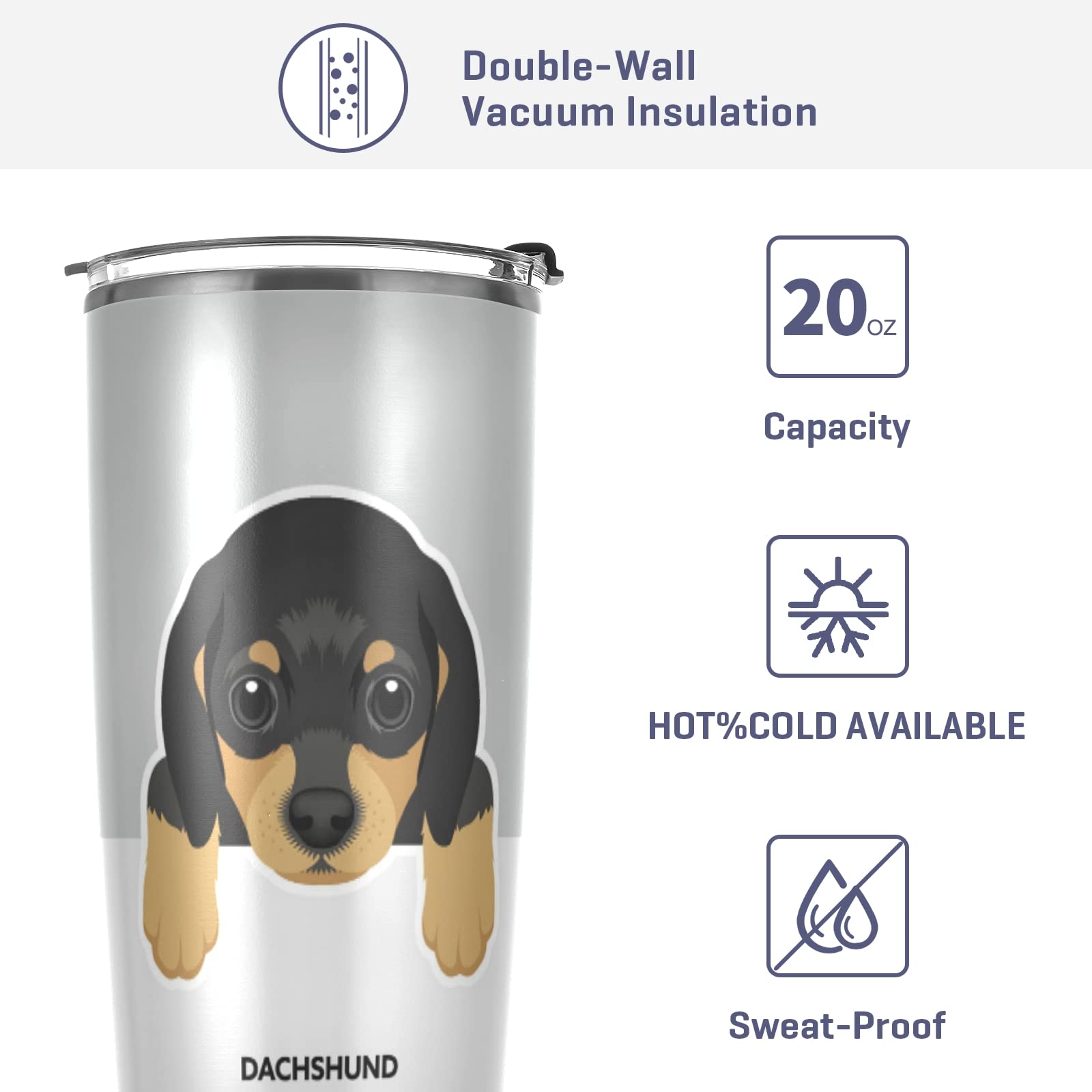 Poeticcity Dachshund Dog Face Tumbler - 20oz Stainless Steel Vacuum Insulated Travel Mug with Lid & Straw | BPA-Free Double Wall Thermal Cup for Coffee, Tea & Cold Drinks | Perfect for Office, Gym, Hiking & Road Trips