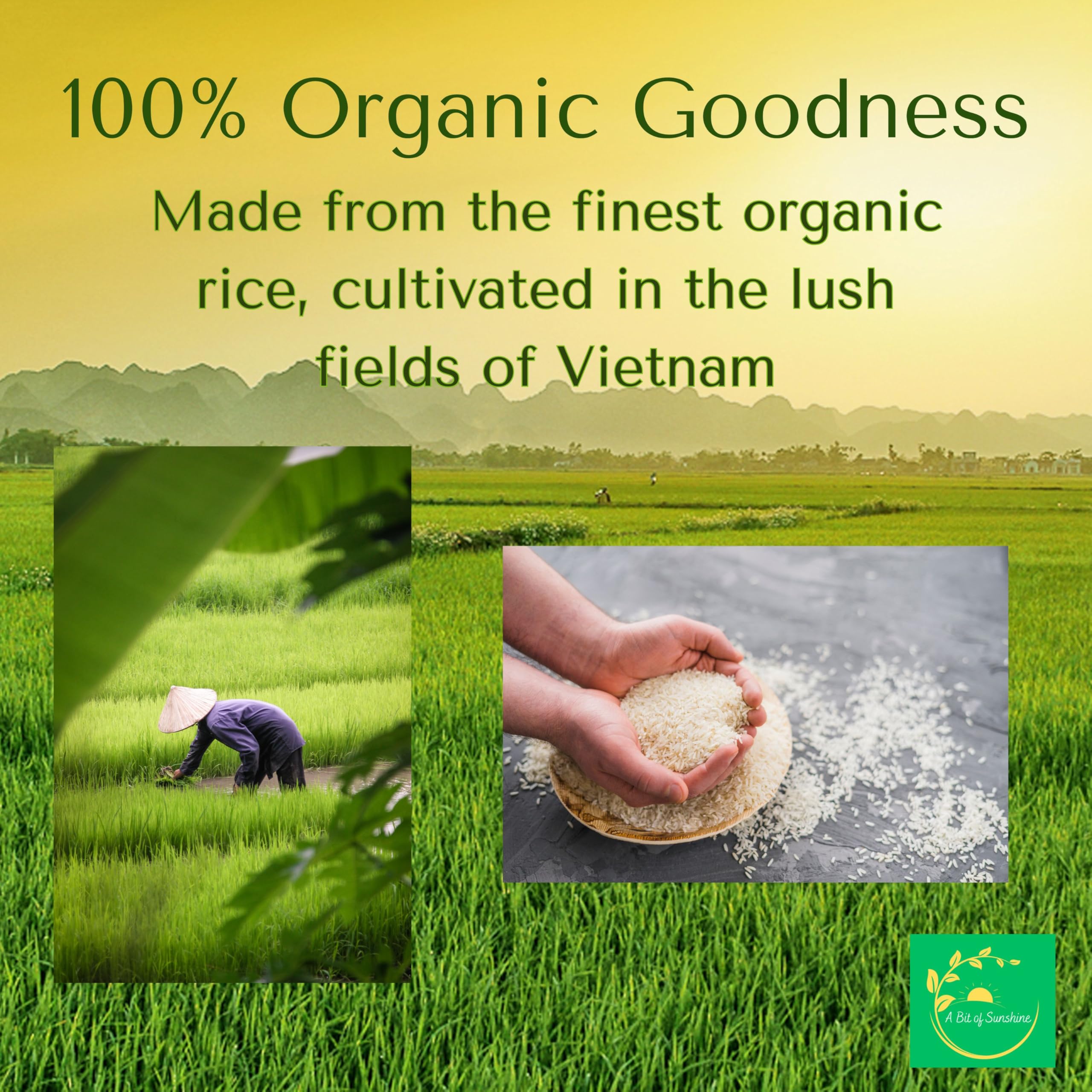 Authentic Vietnamese Organic Rice Paper Wrappers (22cm, 7oz) - USDA Organic, Non-GMO, Gluten-Free, Vegan & Halal Certified for Fresh Spring Rolls, Dumplings & Crispy Rice Paper Rolls | Perfect for Healthy Meals, Party Appetizers & Asian Cuisine