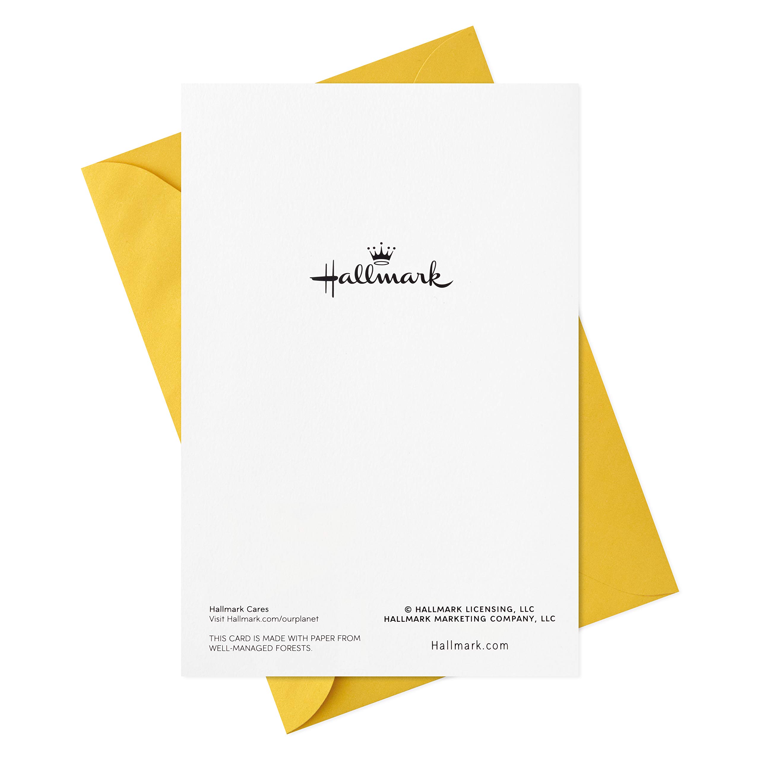 Hallmark Easter Greeting Cards - 6 Pack with Envelopes, Beautiful Spring Holiday Cards for Family & Friends - Perfect for Easter Celebrations, Church Events and Spring Gift Giving