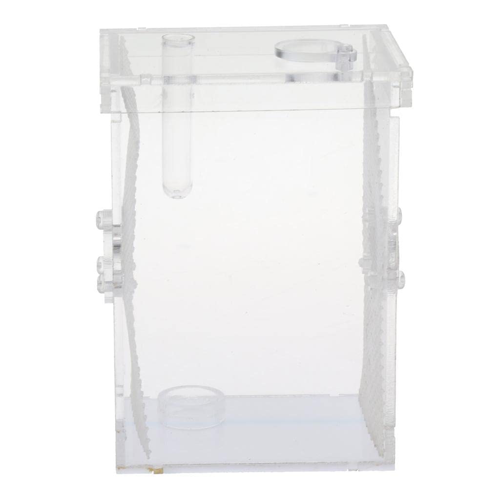 Premium Small Reptile Feeding Box - Ideal for Mantis, Centipede, Spider & Insect Pets | Escape-Proof Enclosure for Feeding & Observation | Perfect for Pet Owners & Breeders