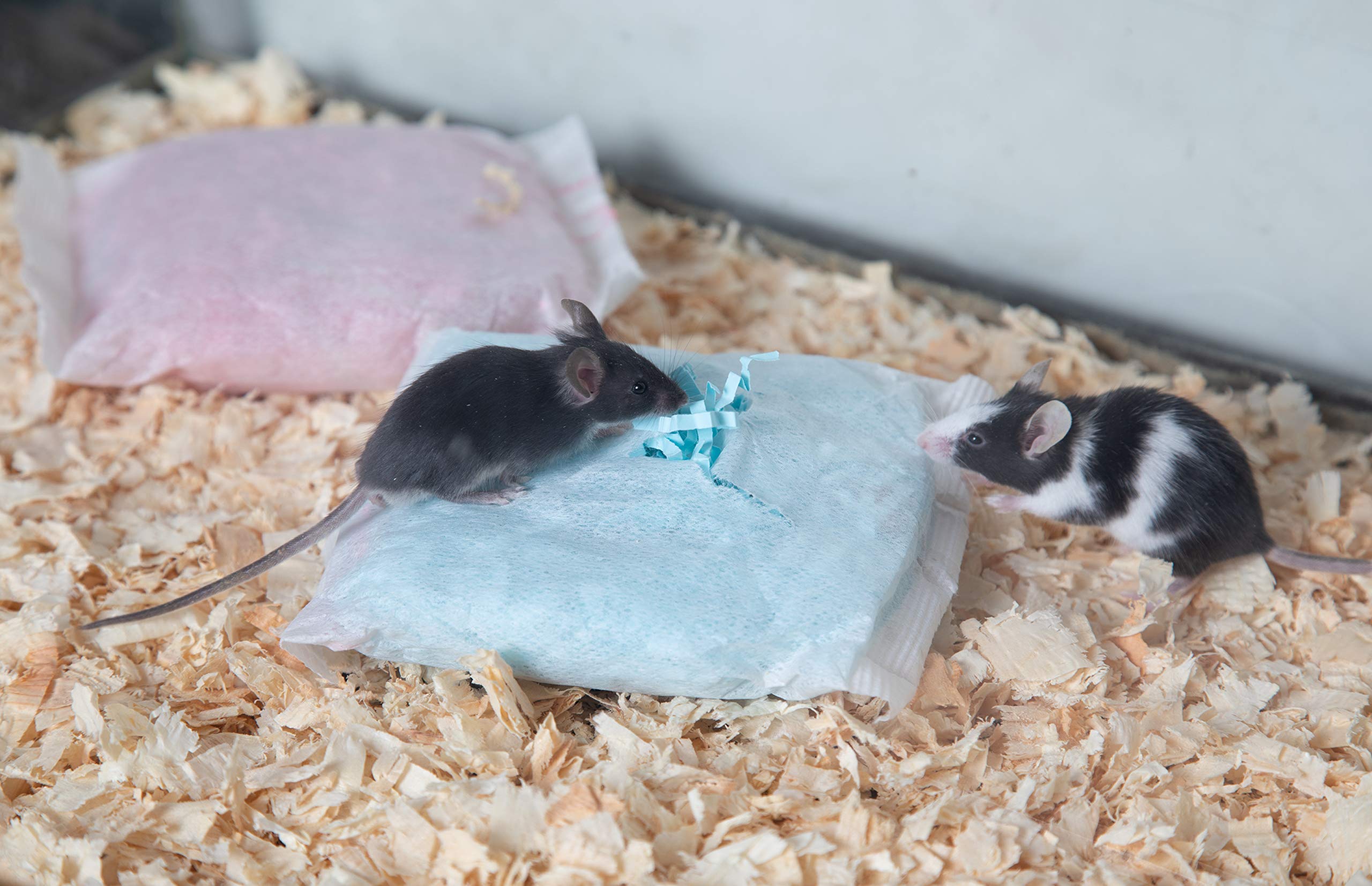 Eco-Friendly 99% Dust Free Paper Bedding for Hamsters, Guinea Pigs & Birds - Soft & Absorbent Small Animal Cage Liner - Perfect for Nesting, Burrowing & Cage Comfort