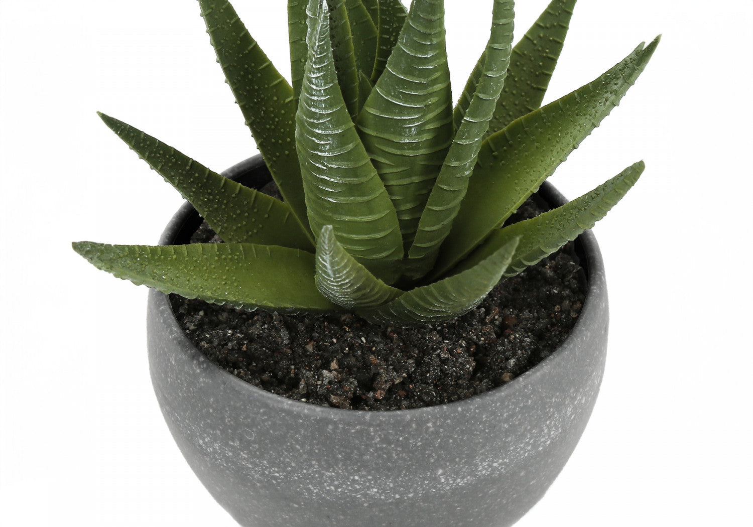 6 Pack Succulent Plants in Grey Pots - Set of 3 Live Indoor Houseplants for Home Decor, Office Desk, or Gift