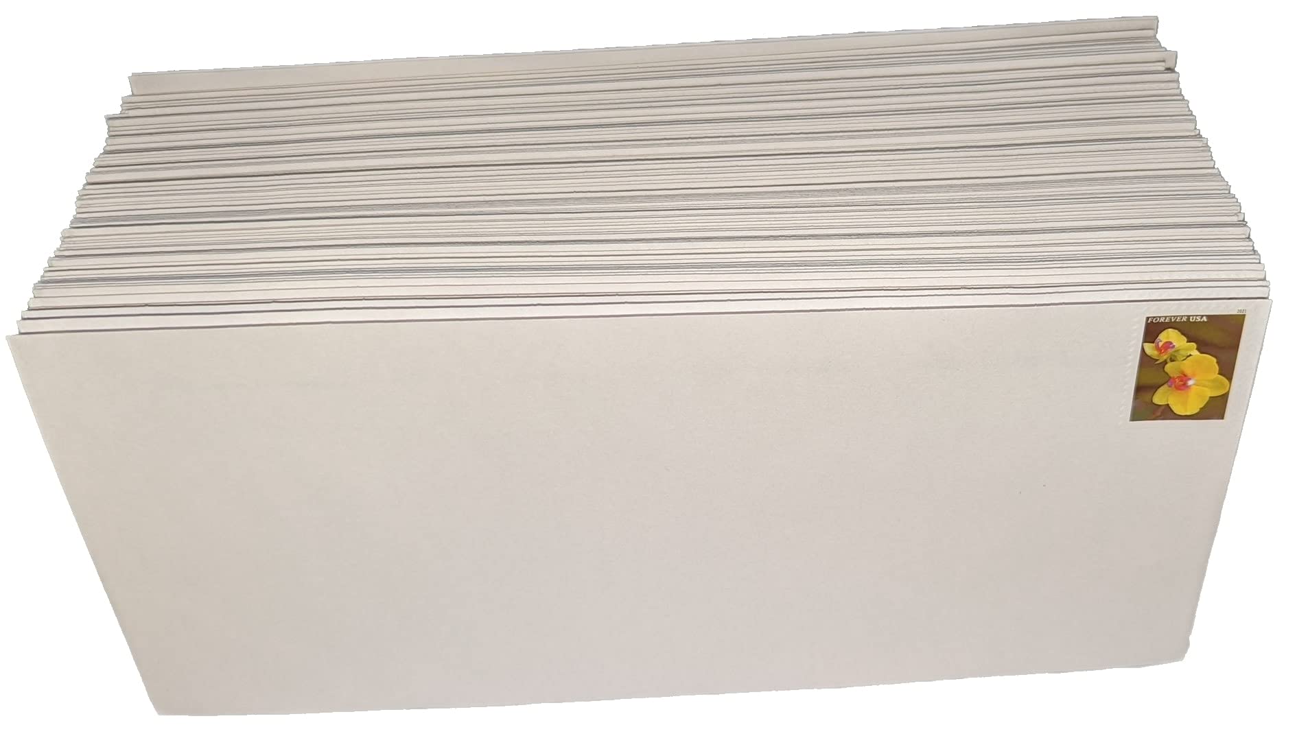 100 #10 Self-Seal Security Envelopes (4-1/8 x 9-1/2 Inches) with Forever Stamps - USPS Approved for Mailing Letters, Bills & Documents - Bulk Pack for Office, Business & Home Use